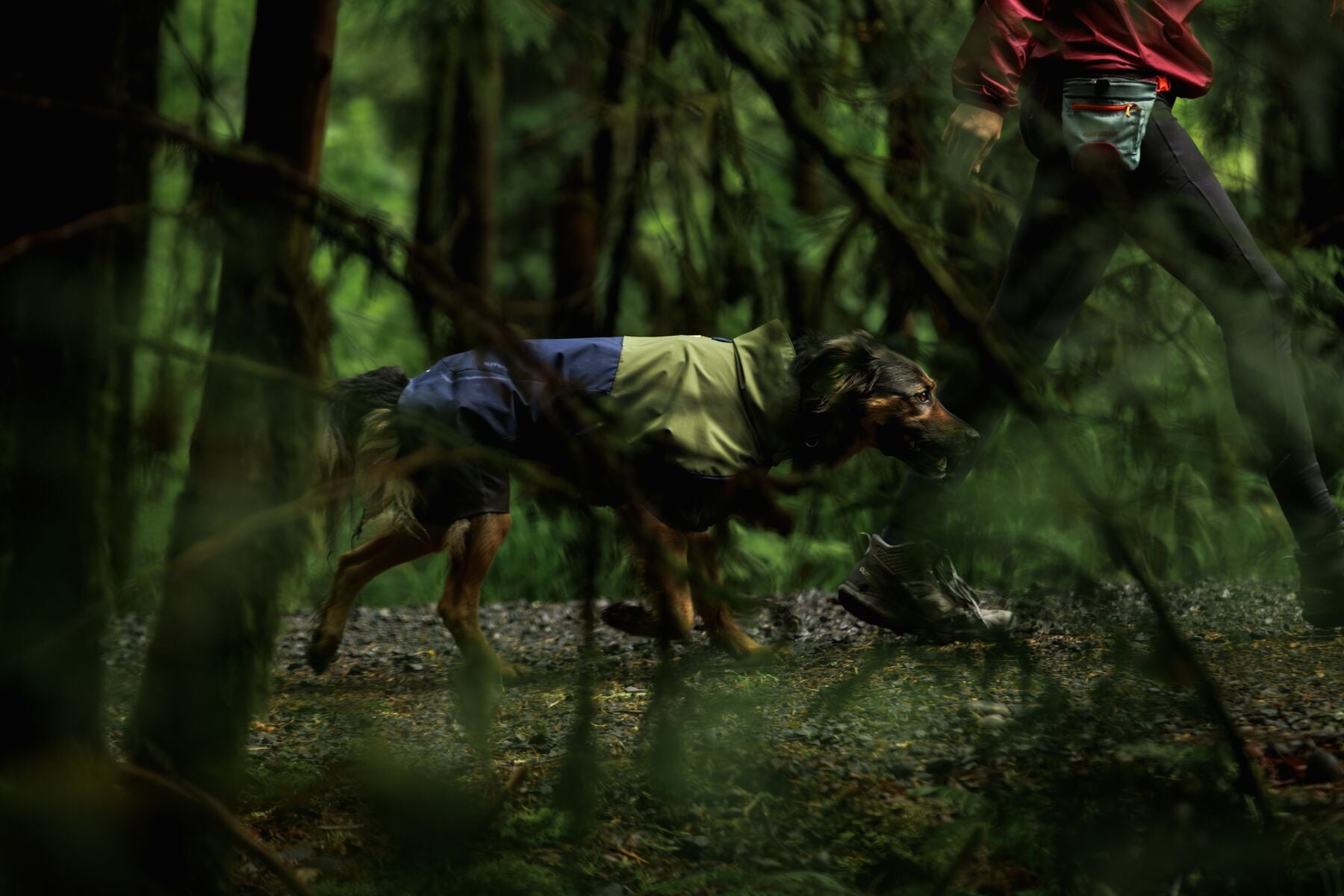 Impermeable Sun Shower™ Coverall (Overall) para Perros - Cobertura Completa y Mangas StormSleeves™ - Verde (Campfire Green) & Azul (Aurora Teal) | Ruffwear®