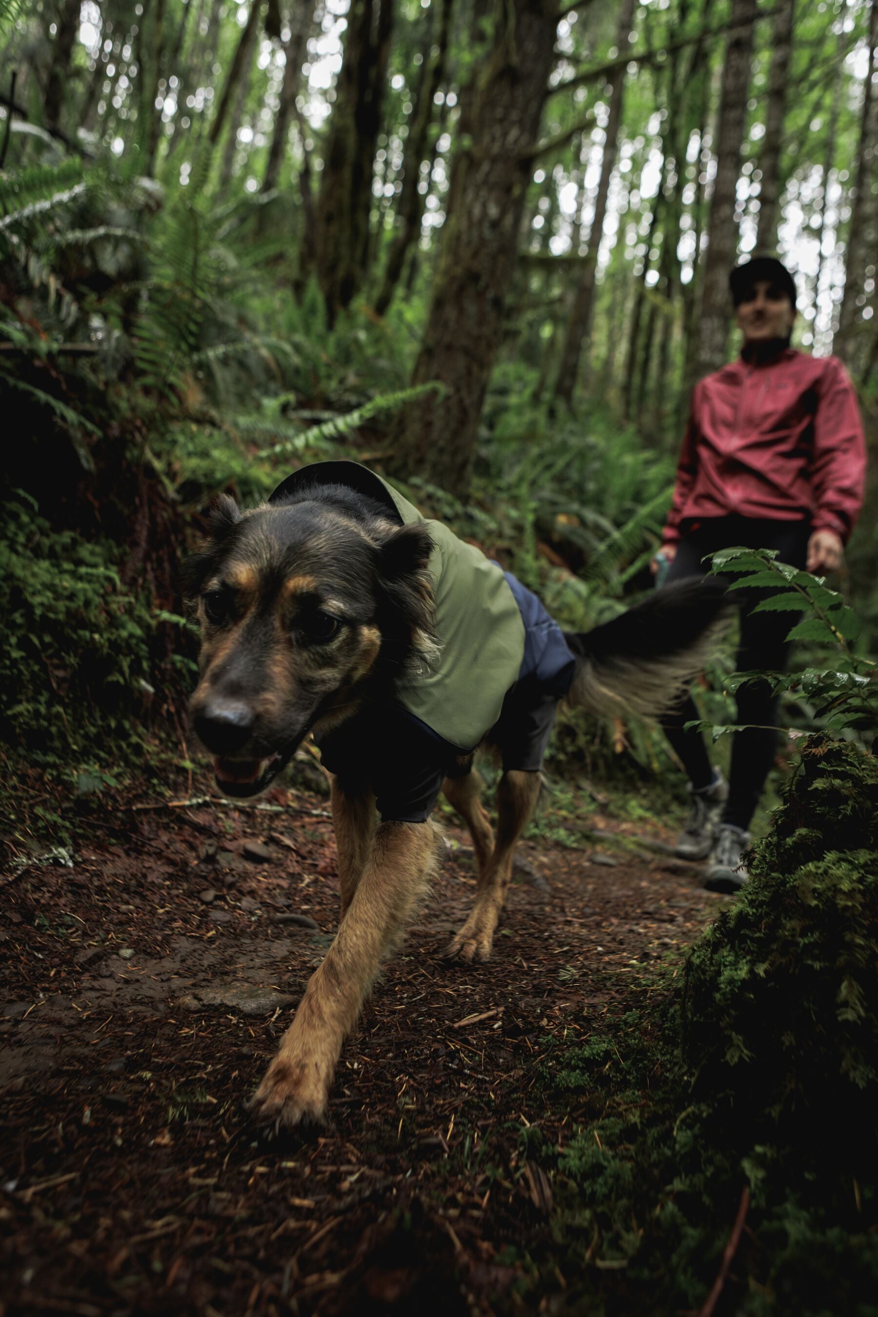 Impermeable Sun Shower™ Coverall (Overall) para Perros - Cobertura Completa y Mangas StormSleeves™ - Verde (Campfire Green) & Azul (Aurora Teal) | Ruffwear®