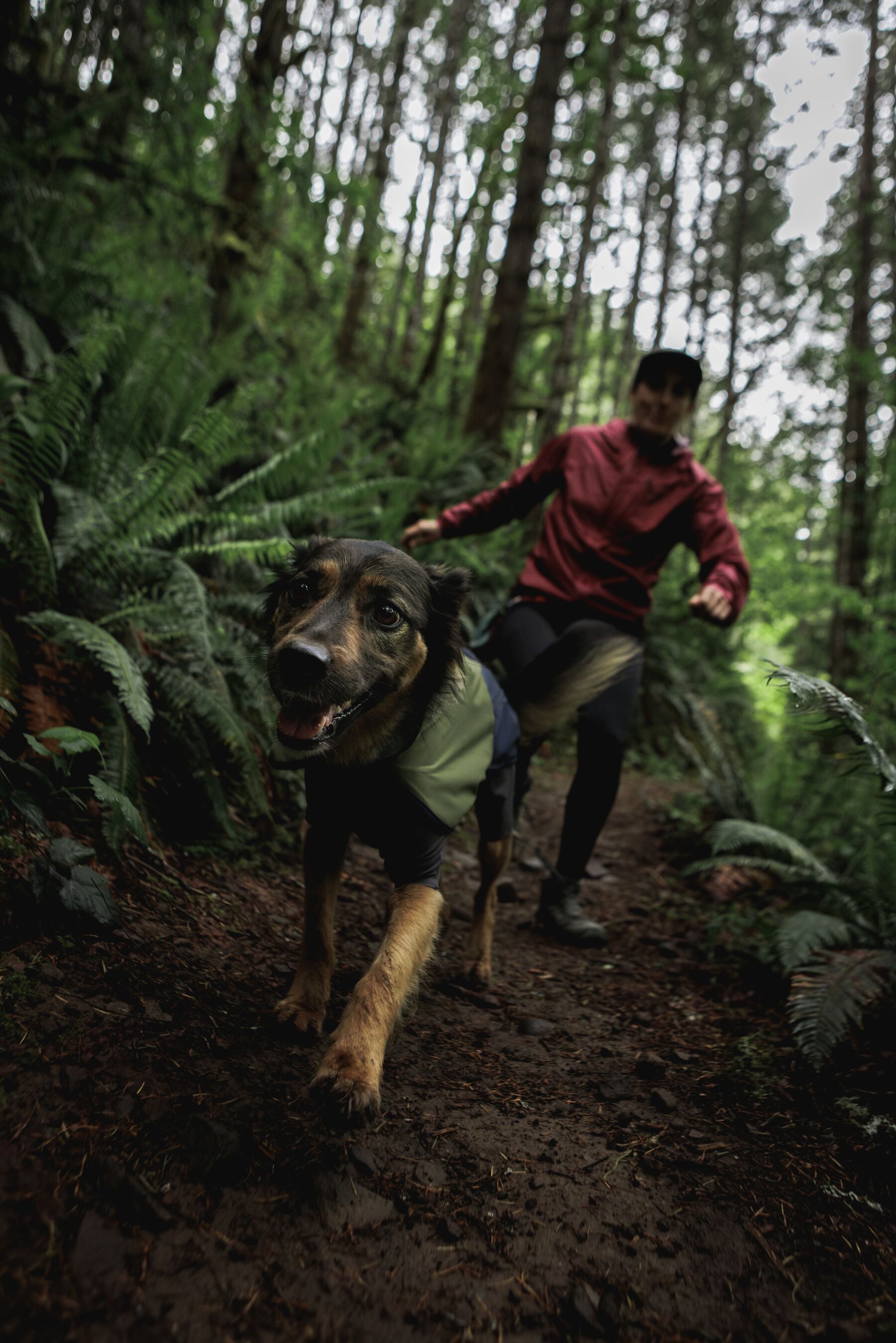 Impermeable Sun Shower™ Coverall (Overall) para Perros - Cobertura Completa y Mangas StormSleeves™ - Verde (Campfire Green) & Azul (Aurora Teal) | Ruffwear®