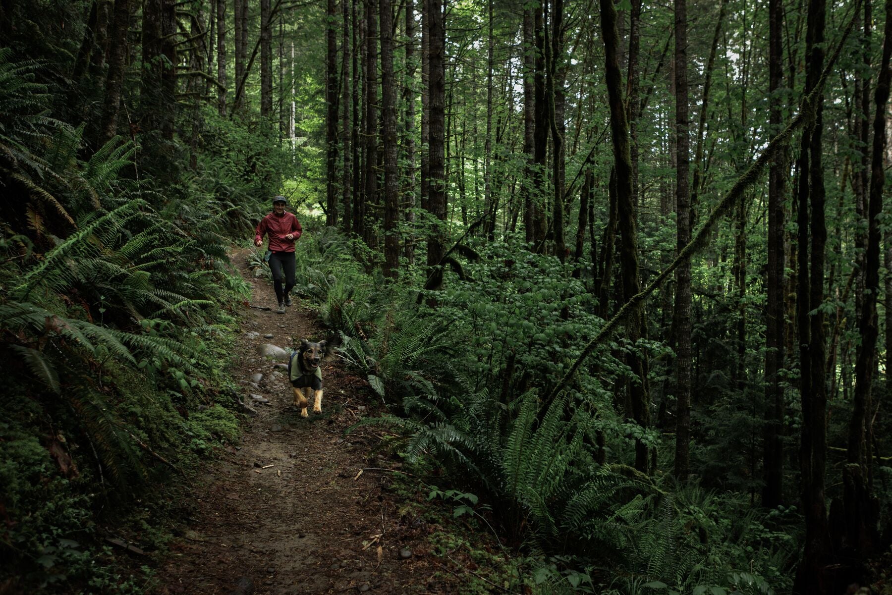 Impermeable Sun Shower™ Coverall (Overall) para Perros - Cobertura Completa y Mangas StormSleeves™ - Verde (Campfire Green) & Azul (Aurora Teal) | Ruffwear®