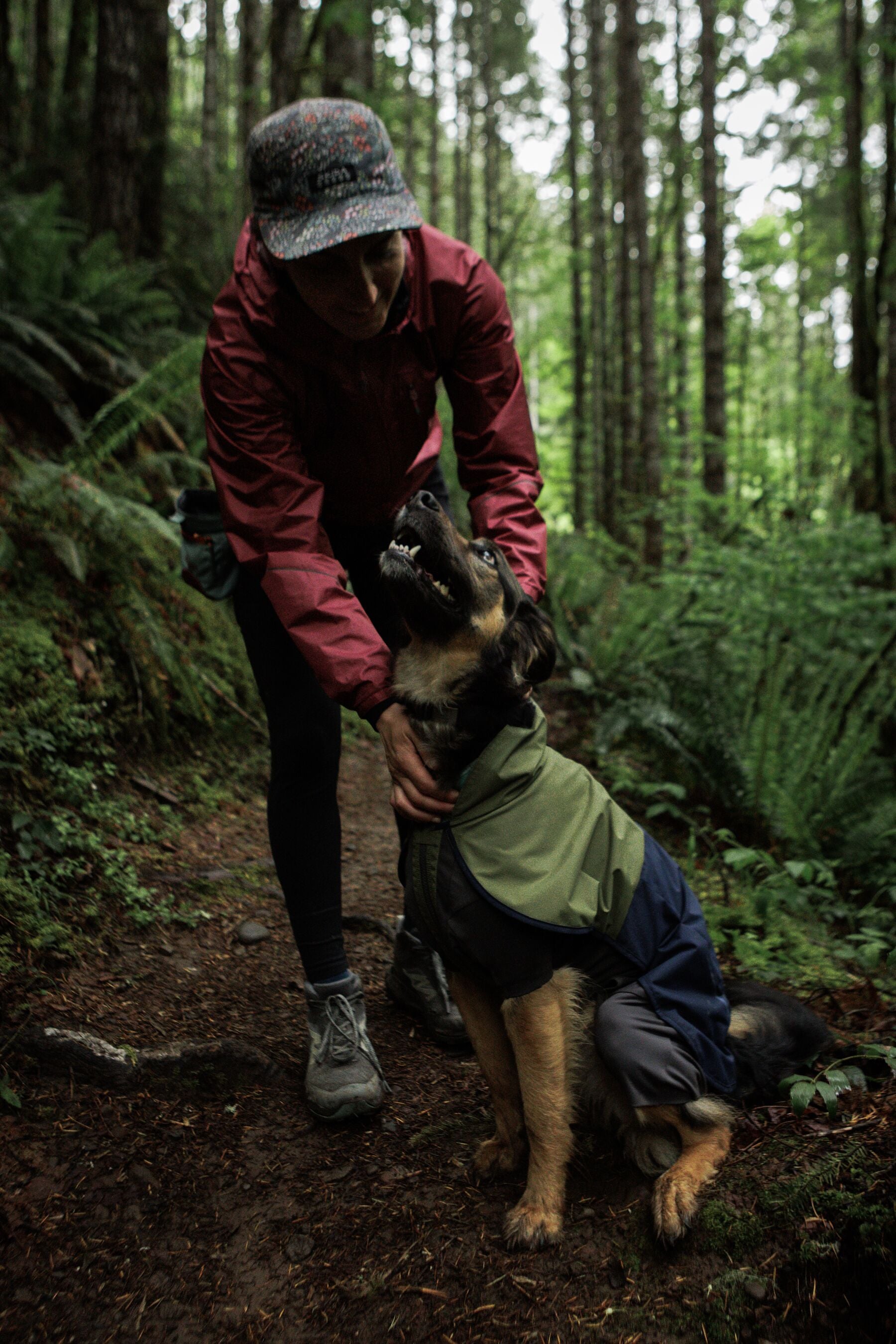 Impermeable Sun Shower™ Coverall (Overall) para Perros - Cobertura Completa y Mangas StormSleeves™ - Verde (Campfire Green) & Azul (Aurora Teal) | Ruffwear®