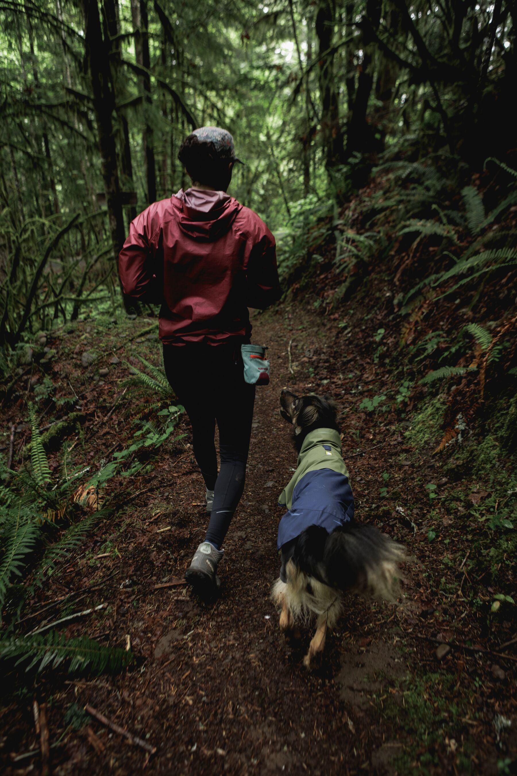 Impermeable Sun Shower™ Coverall (Overall) para Perros - Cobertura Completa y Mangas StormSleeves™ - Verde (Campfire Green) & Azul (Aurora Teal) | Ruffwear®