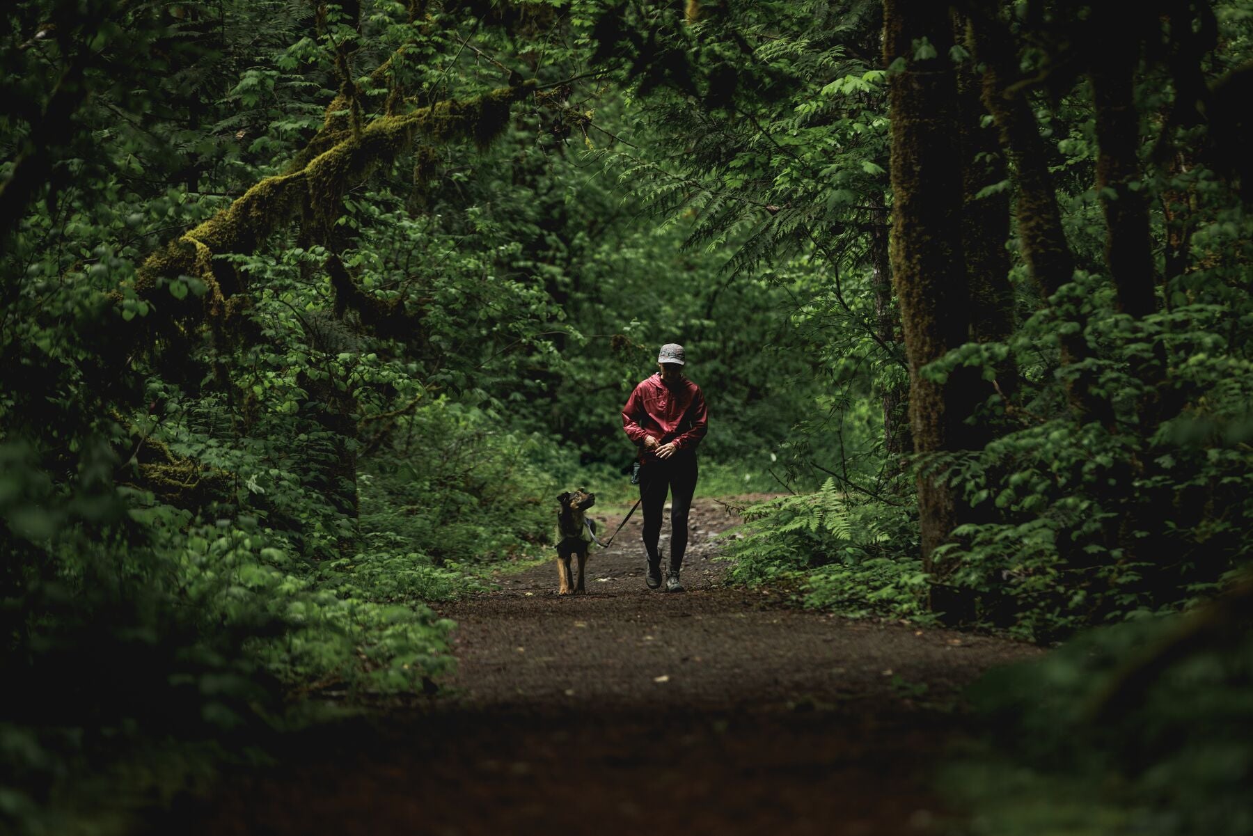 Impermeable Sun Shower™ Coverall (Overall) para Perros - Cobertura Completa y Mangas StormSleeves™ - Verde (Campfire Green) & Azul (Aurora Teal) | Ruffwear®
