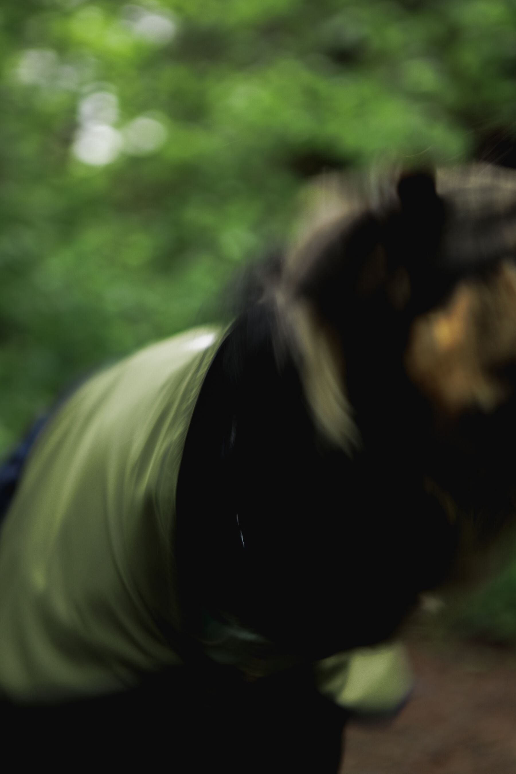 Impermeable Sun Shower™ Coverall (Overall) para Perros - Cobertura Completa y Mangas StormSleeves™ - Verde (Campfire Green) & Azul (Aurora Teal) | Ruffwear®