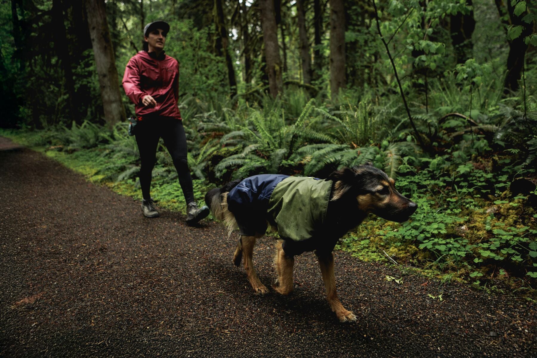 Impermeable Sun Shower™ Coverall (Overall) para Perros - Cobertura Completa y Mangas StormSleeves™ - Verde (Campfire Green) & Azul (Aurora Teal) | Ruffwear®