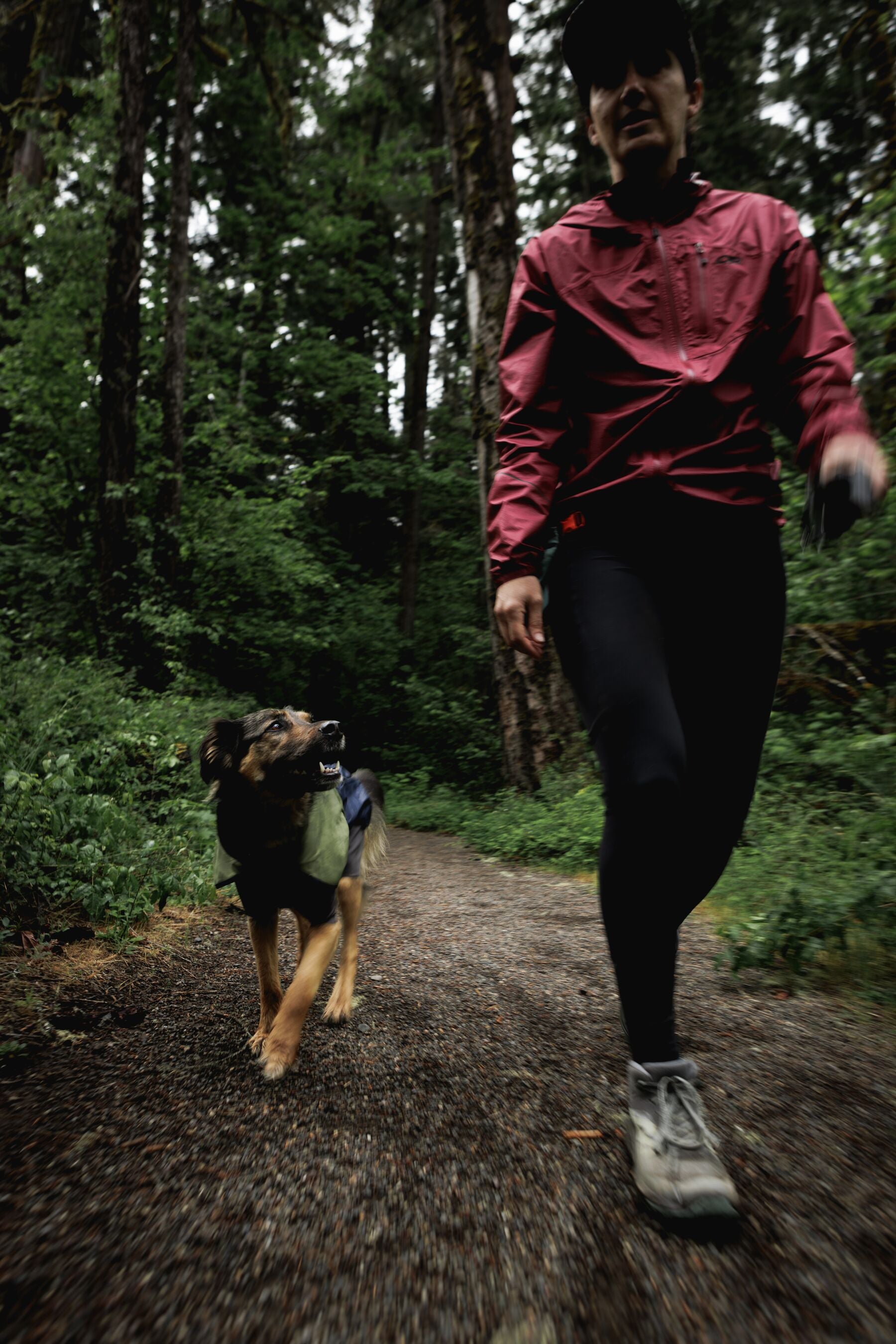 Impermeable Sun Shower™ Coverall (Overall) para Perros - Cobertura Completa y Mangas StormSleeves™ - Verde (Campfire Green) & Azul (Aurora Teal) | Ruffwear®