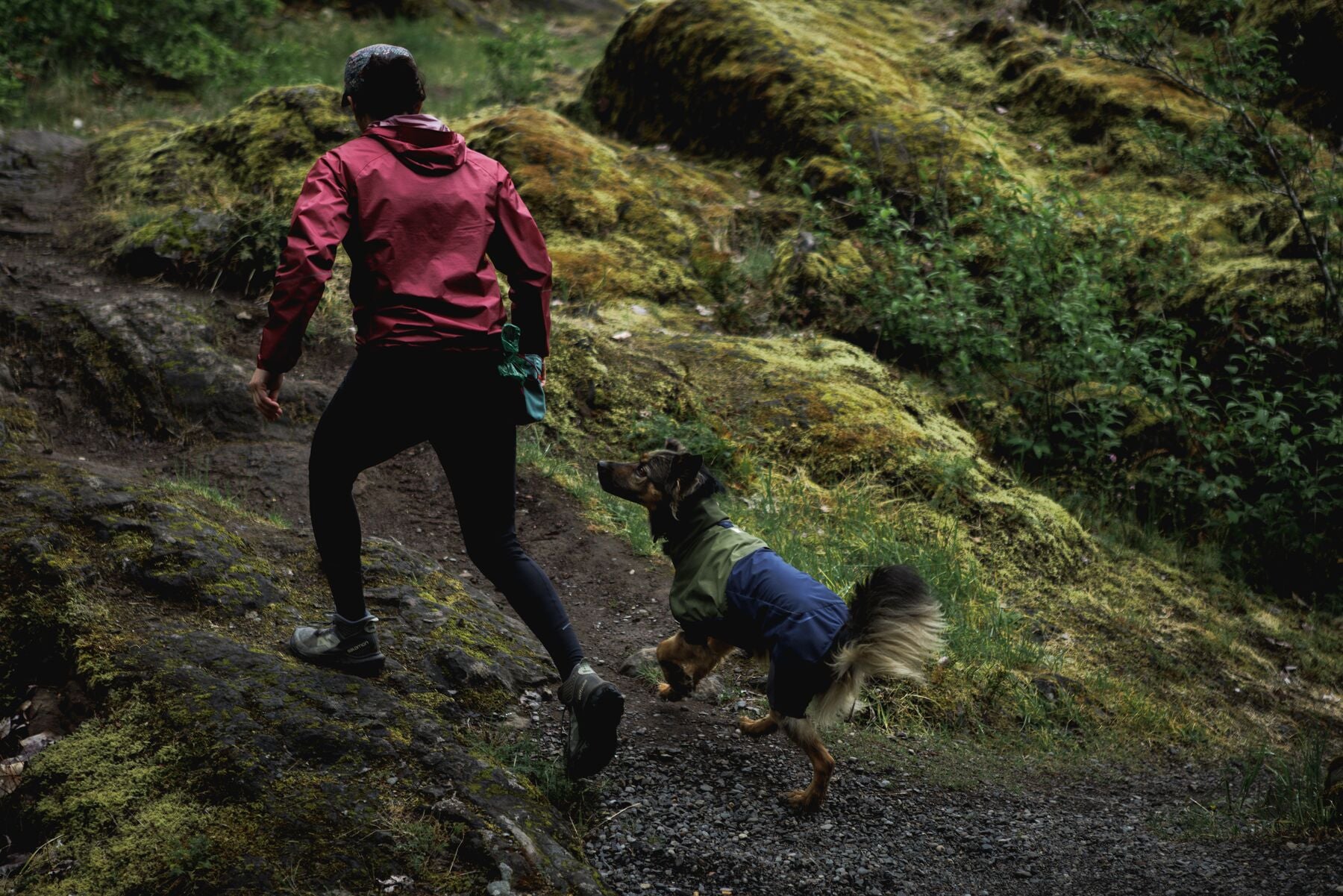 Impermeable Sun Shower™ Coverall (Overall) para Perros - Cobertura Completa y Mangas StormSleeves™ - Verde (Campfire Green) & Azul (Aurora Teal) | Ruffwear®
