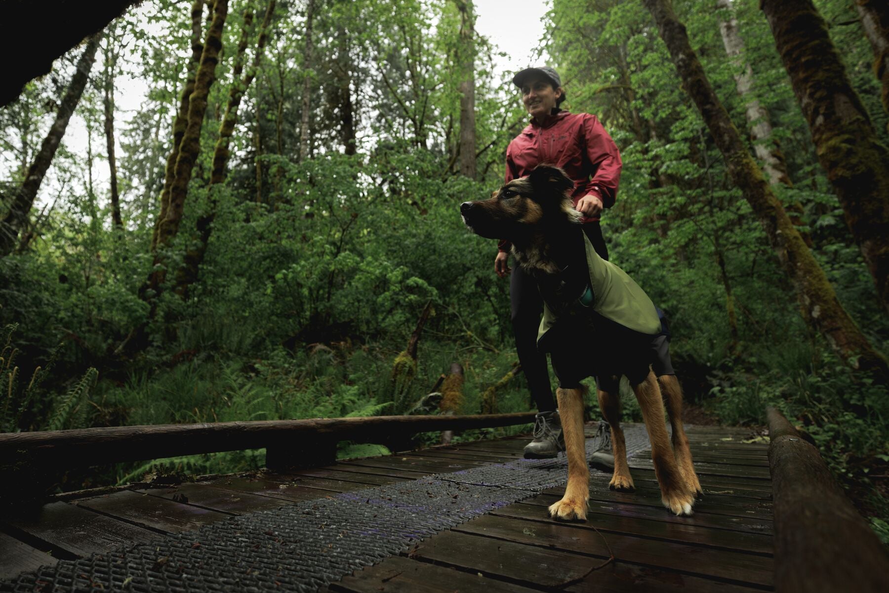Impermeable Sun Shower™ Coverall (Overall) para Perros - Cobertura Completa y Mangas StormSleeves™ - Verde (Campfire Green) & Azul (Aurora Teal) | Ruffwear®