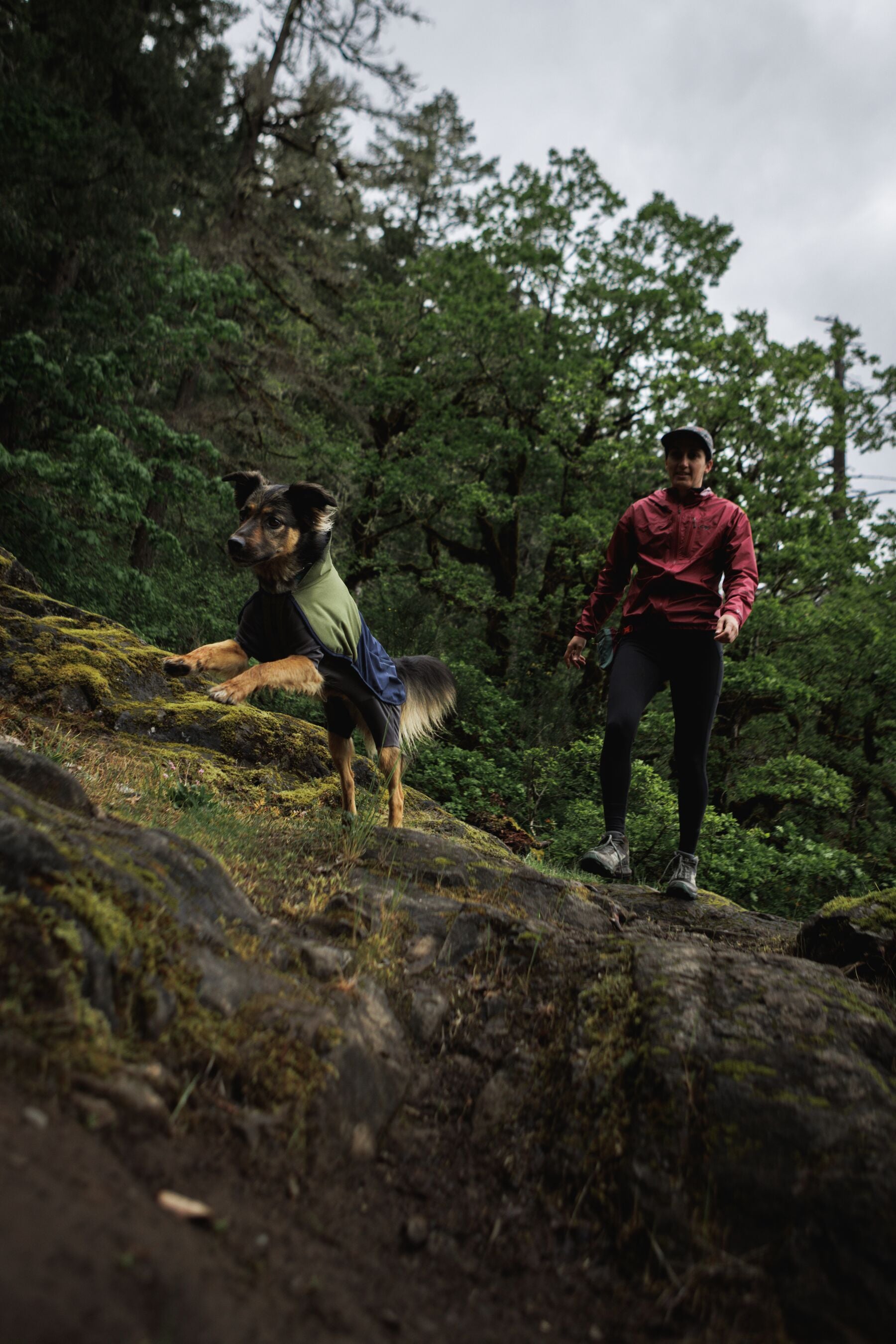 Impermeable Sun Shower™ Coverall (Overall) para Perros - Cobertura Completa y Mangas StormSleeves™ - Verde (Campfire Green) & Azul (Aurora Teal) | Ruffwear®