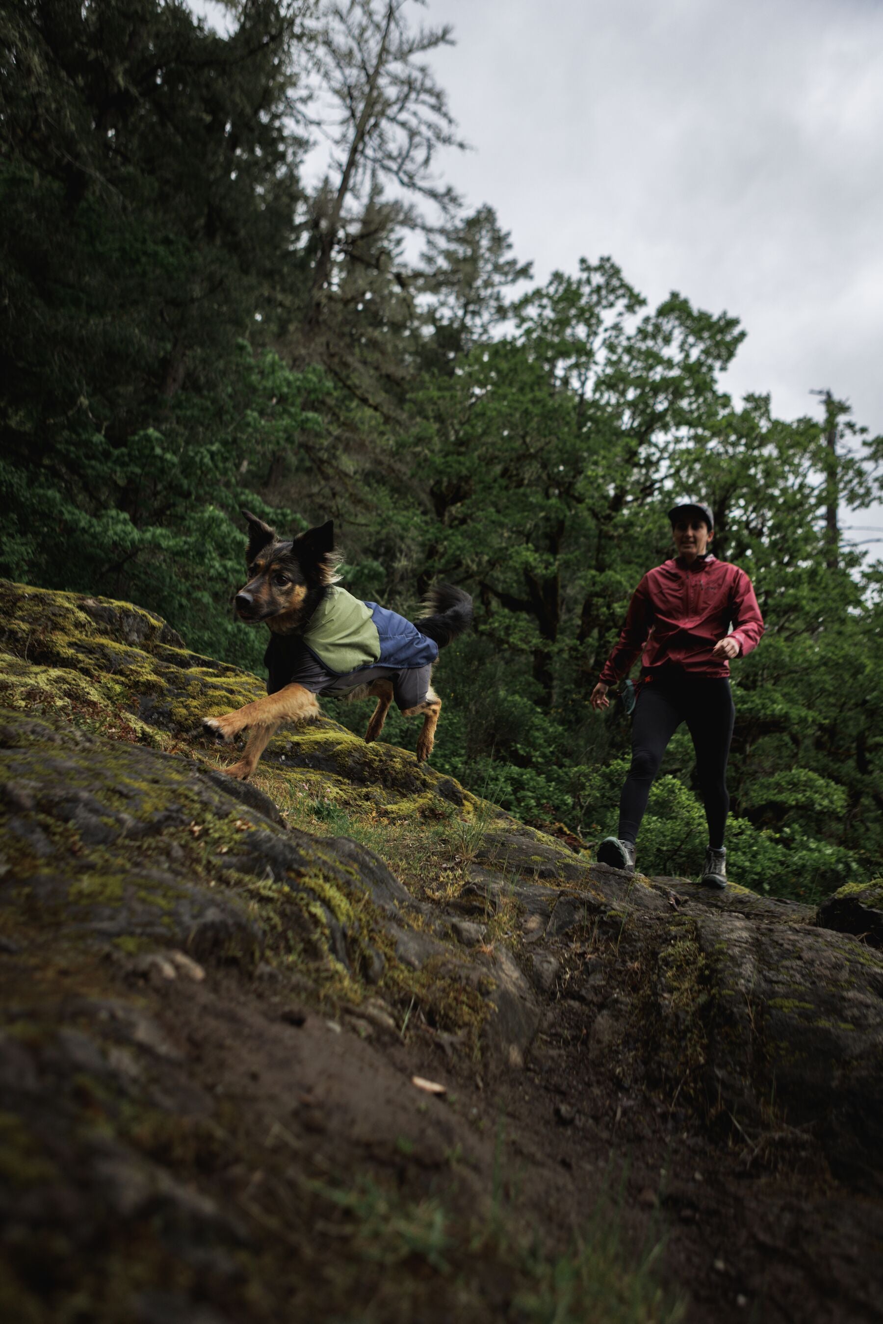 Impermeable Sun Shower™ Coverall (Overall) para Perros - Cobertura Completa y Mangas StormSleeves™ - Verde (Campfire Green) & Azul (Aurora Teal) | Ruffwear®
