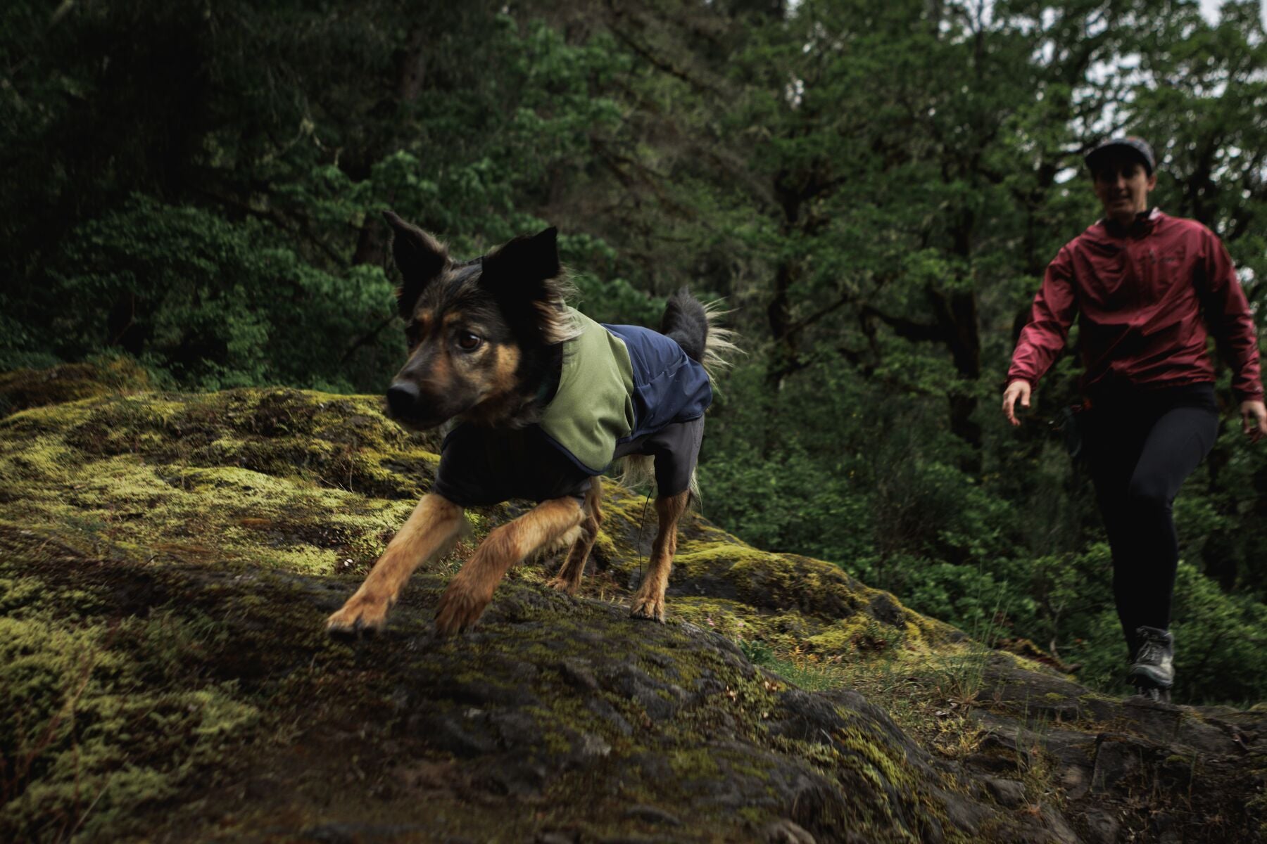 Impermeable Sun Shower™ Coverall (Overall) para Perros - Cobertura Completa y Mangas StormSleeves™ - Verde (Campfire Green) & Azul (Aurora Teal) | Ruffwear®