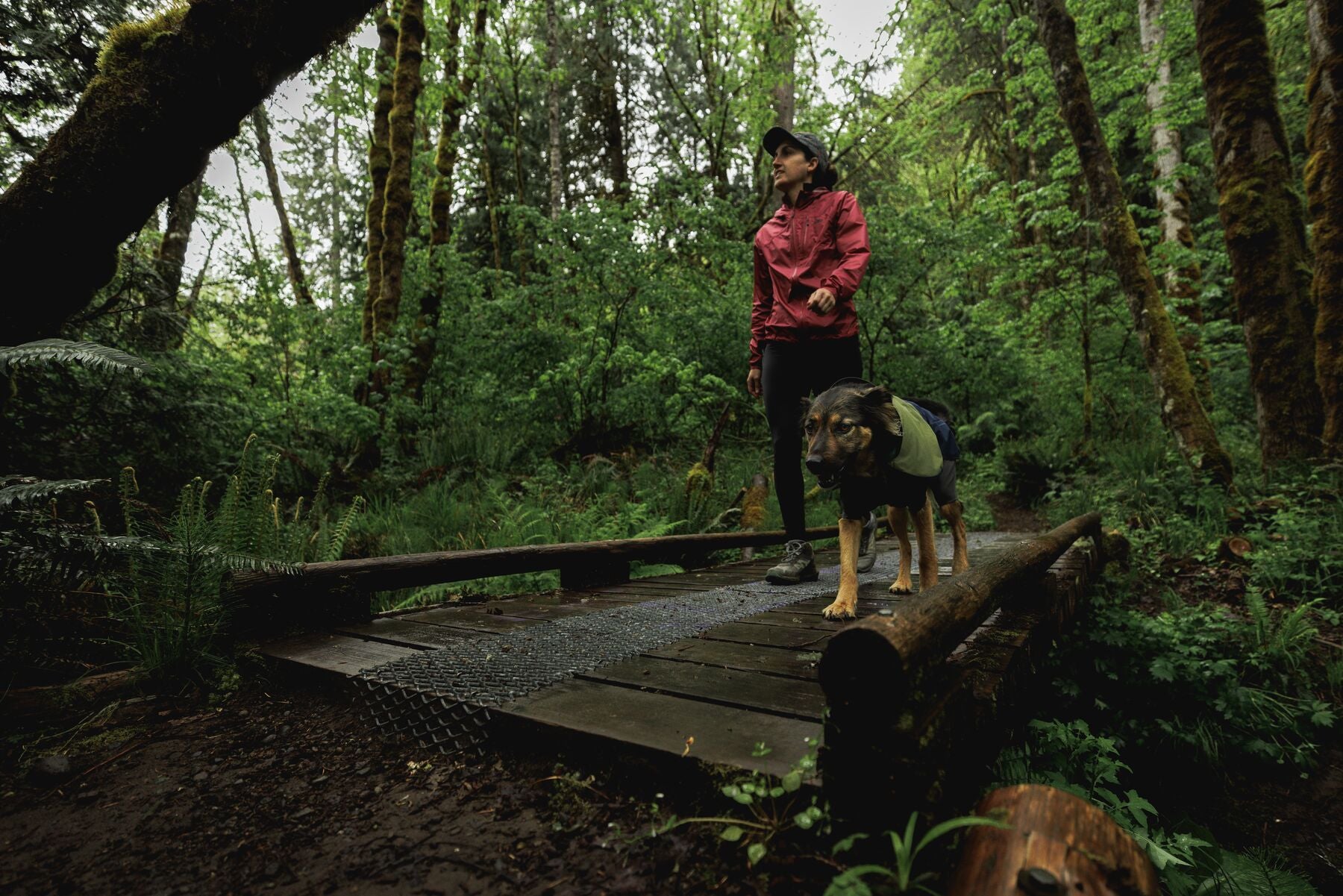 Impermeable Sun Shower™ Coverall (Overall) para Perros - Cobertura Completa y Mangas StormSleeves™ - Verde (Campfire Green) & Azul (Aurora Teal) | Ruffwear®