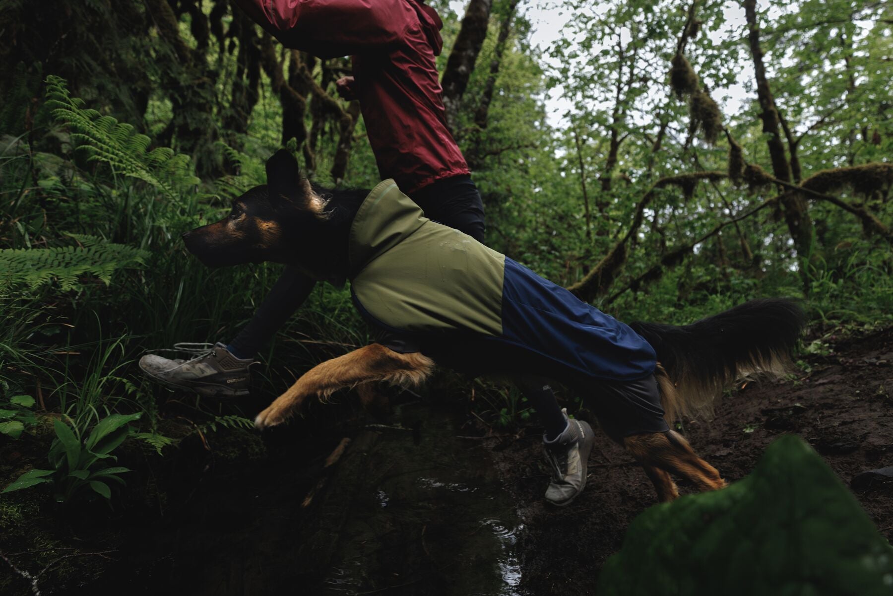 Impermeable Sun Shower™ Coverall (Overall) para Perros - Cobertura Completa y Mangas StormSleeves™ - Verde (Campfire Green) & Azul (Aurora Teal) | Ruffwear®