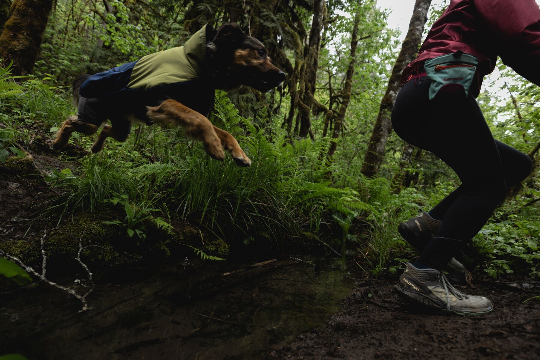 Impermeable Sun Shower™ Coverall (Overall) para Perros - Cobertura Completa y Mangas StormSleeves™ - Verde (Campfire Green) & Azul (Aurora Teal) | Ruffwear®