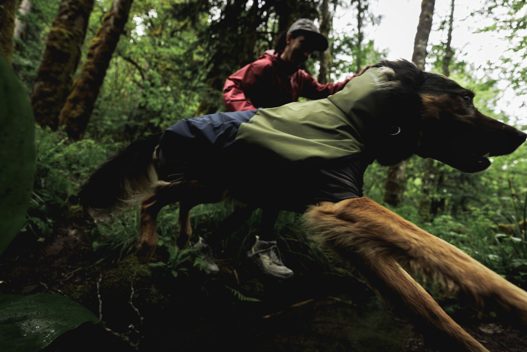 Impermeable Sun Shower™ Coverall (Overall) para Perros - Cobertura Completa y Mangas StormSleeves™ - Verde (Campfire Green) & Azul (Aurora Teal) | Ruffwear®