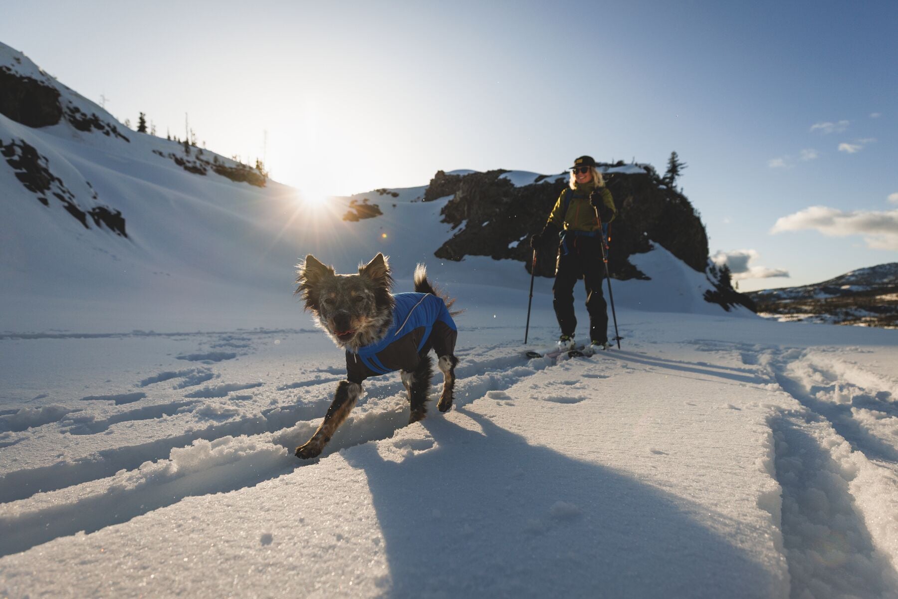 Vert™ Coverall Chamarra Impermeable de Cobertura Total para Perros - Aislada para Bajas Temperaturas | Ruffwear