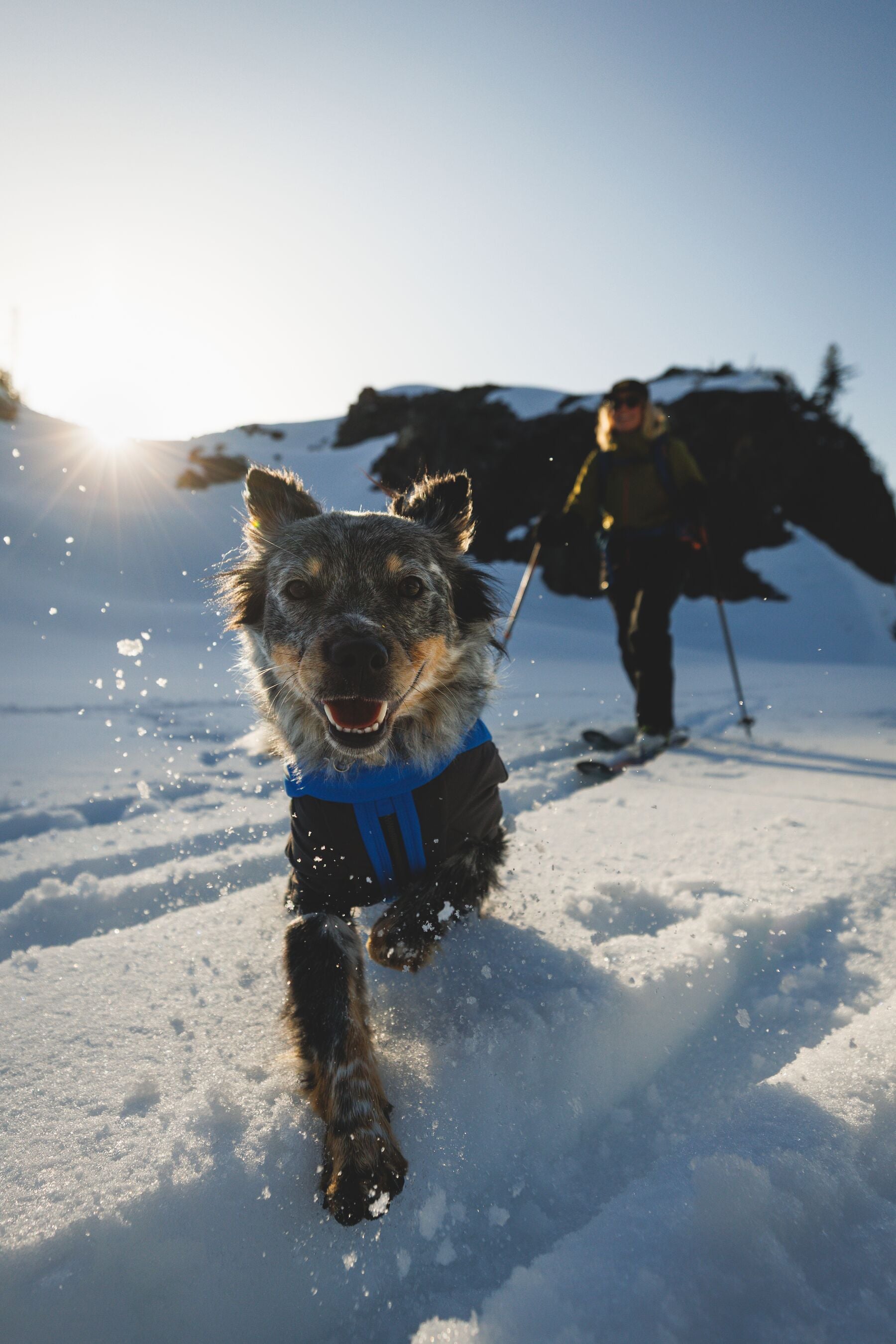 Vert™ Coverall Chamarra Impermeable de Cobertura Total para Perros - Aislada para Bajas Temperaturas | Ruffwear