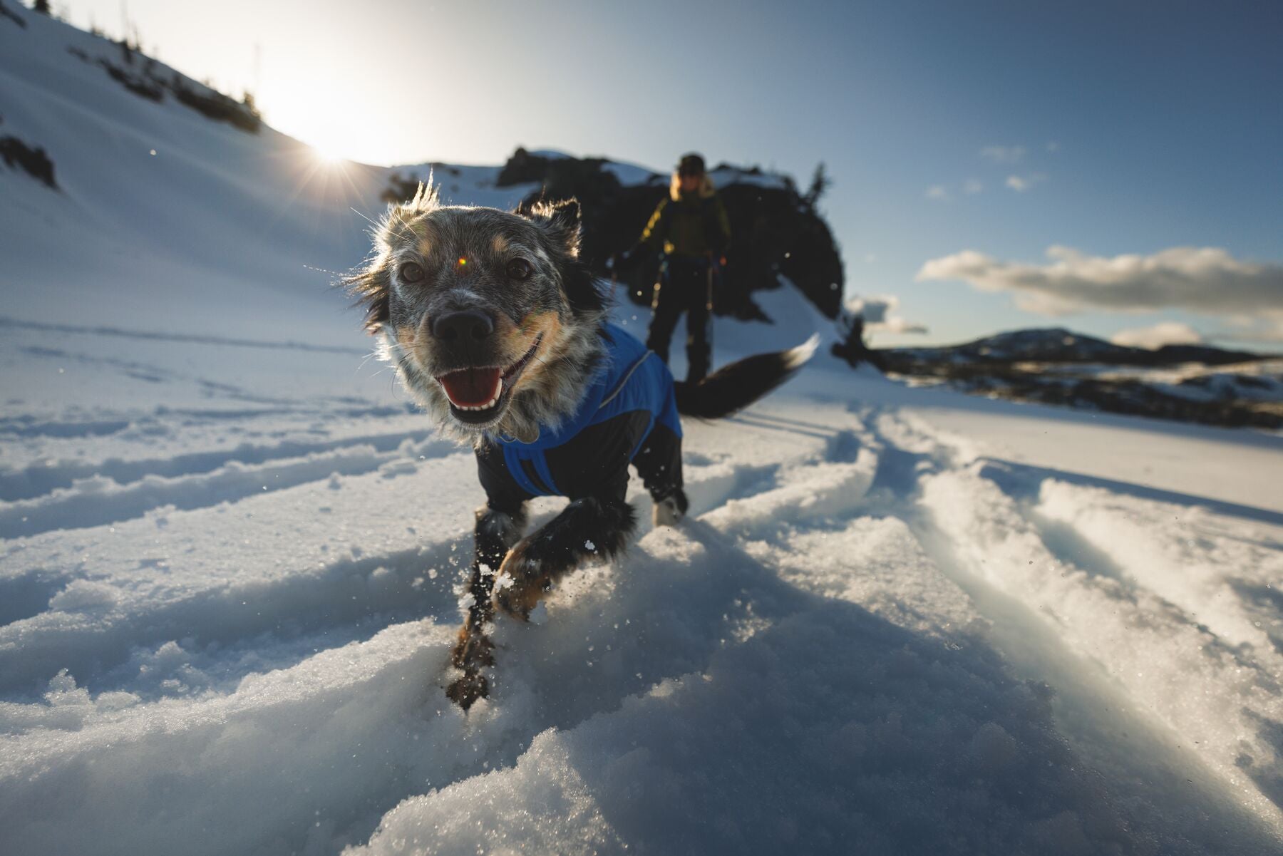 Vert™ Coverall Chamarra Impermeable de Cobertura Total para Perros - Aislada para Bajas Temperaturas | Ruffwear