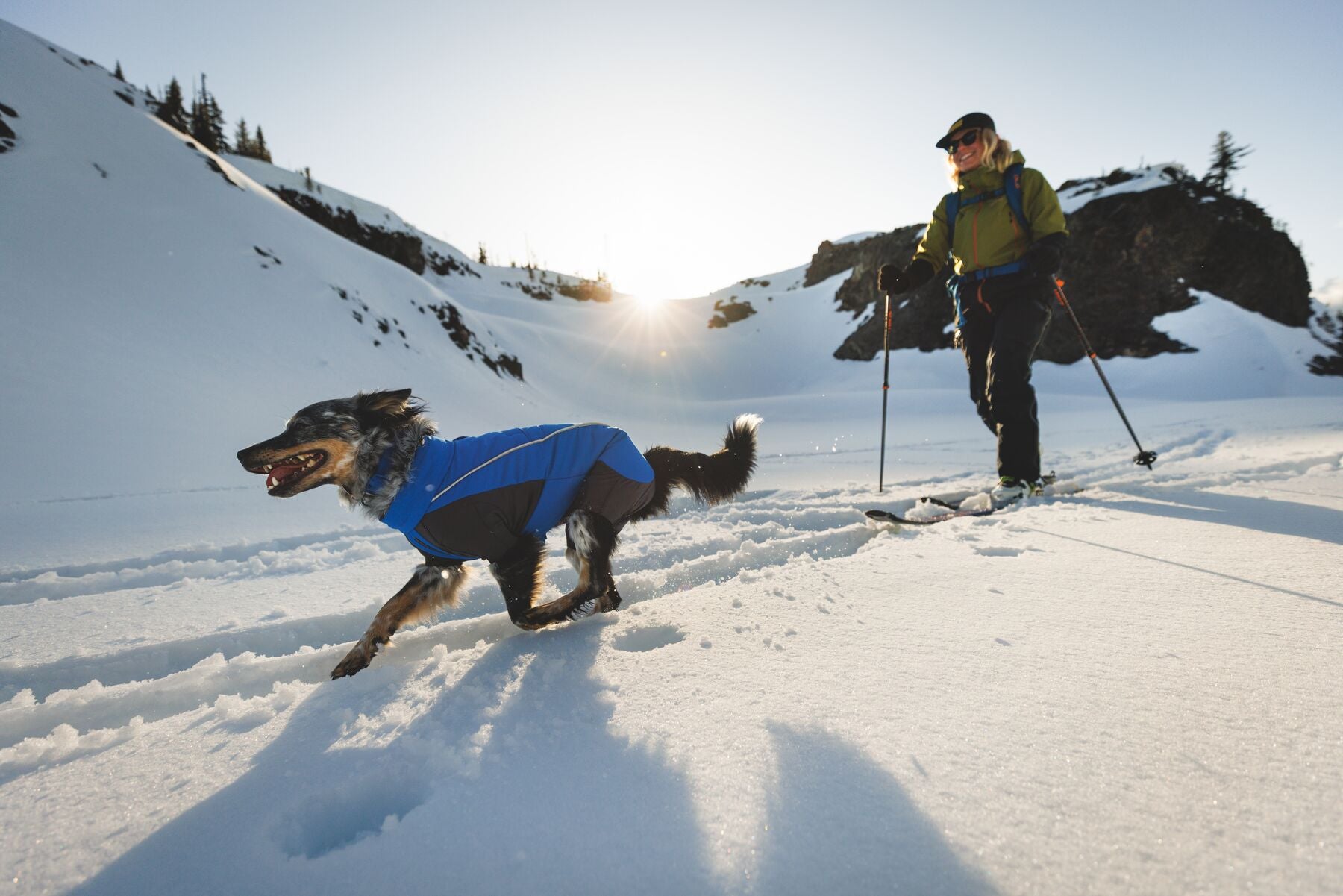 Vert™ Coverall Chamarra Impermeable de Cobertura Total para Perros - Aislada para Bajas Temperaturas | Ruffwear