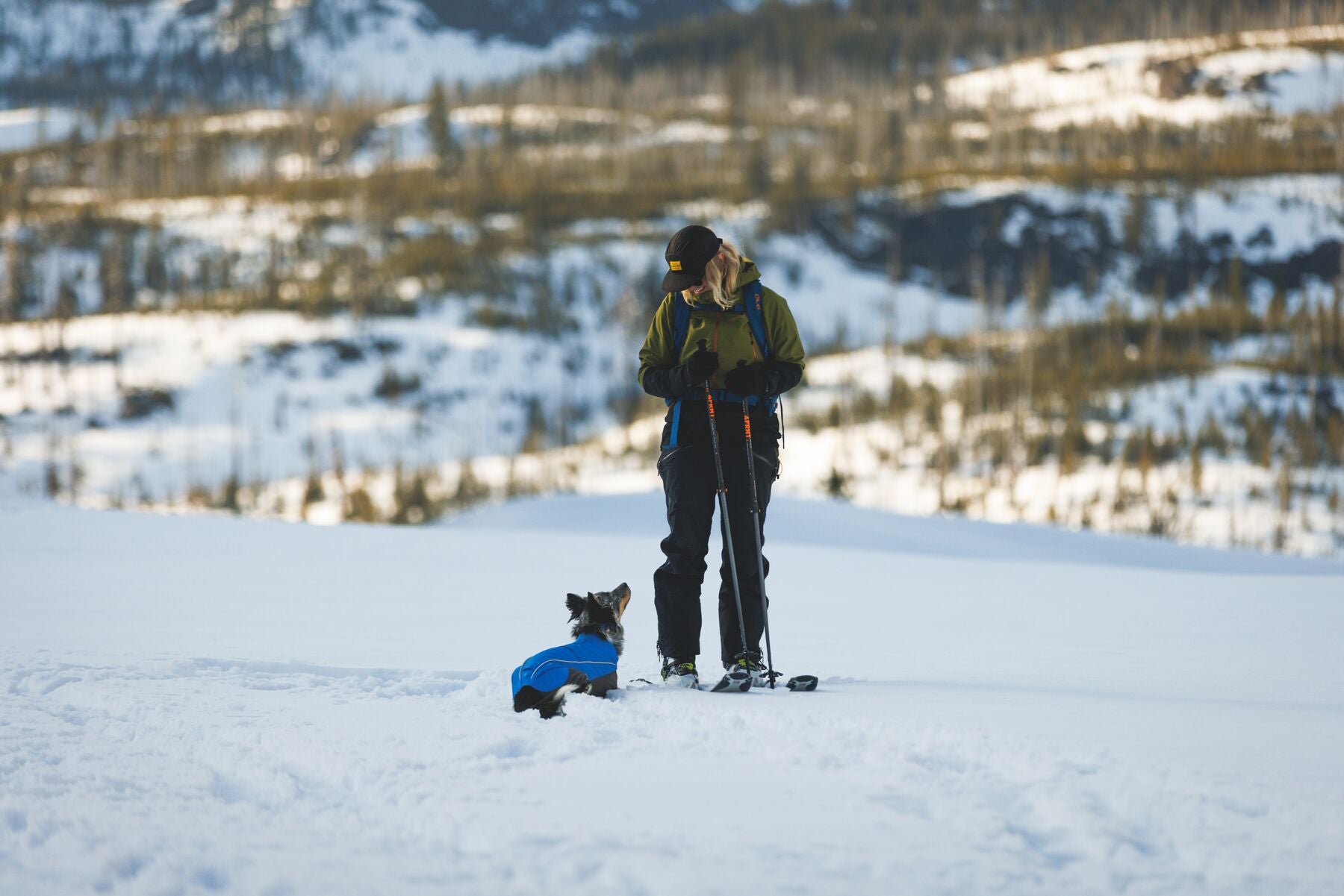 Vert™ Coverall Chamarra Impermeable de Cobertura Total para Perros - Aislada para Bajas Temperaturas | Ruffwear