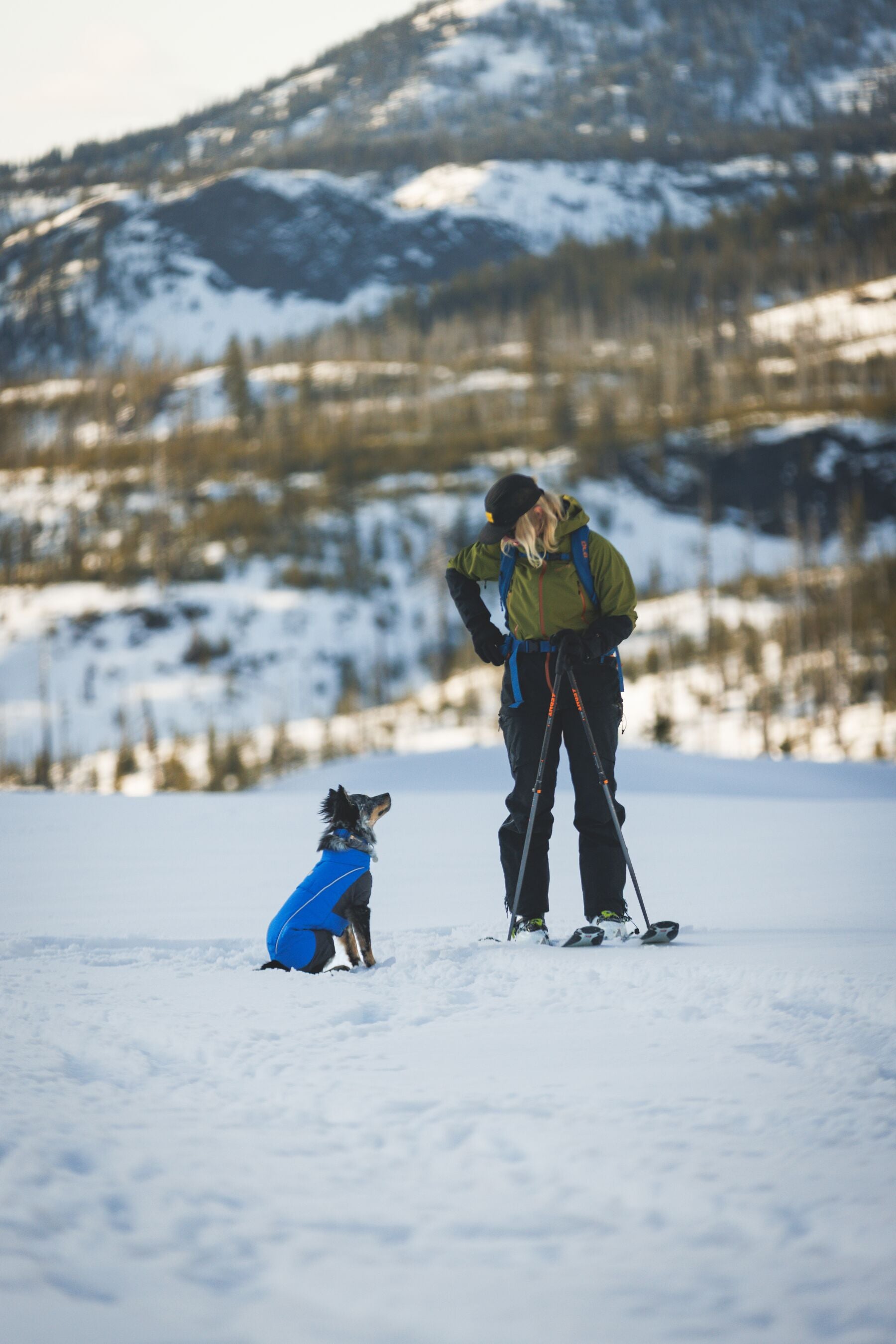 Vert™ Coverall Chamarra Impermeable de Cobertura Total para Perros - Aislada para Bajas Temperaturas | Ruffwear