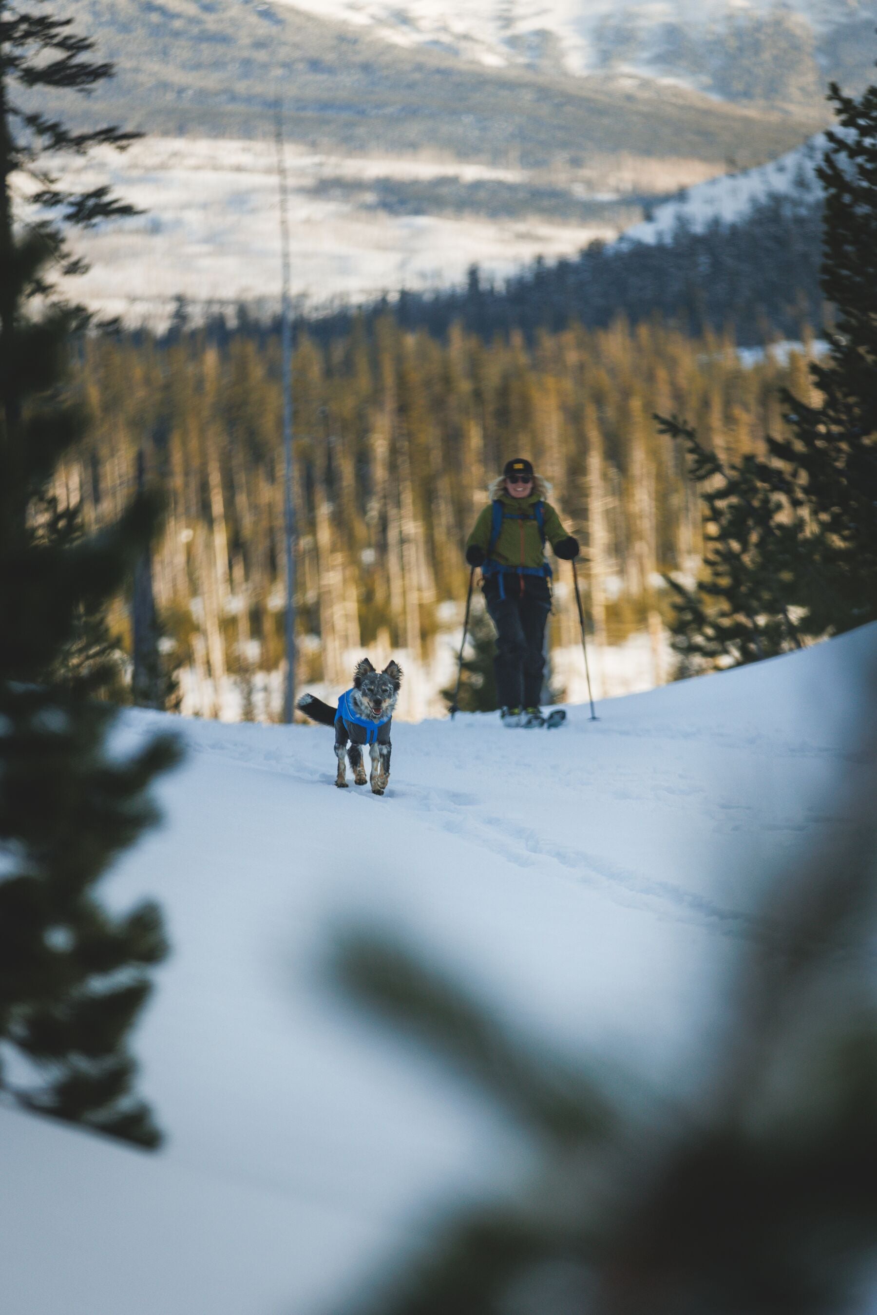 Vert™ Coverall Chamarra Impermeable de Cobertura Total para Perros - Aislada para Bajas Temperaturas | Ruffwear