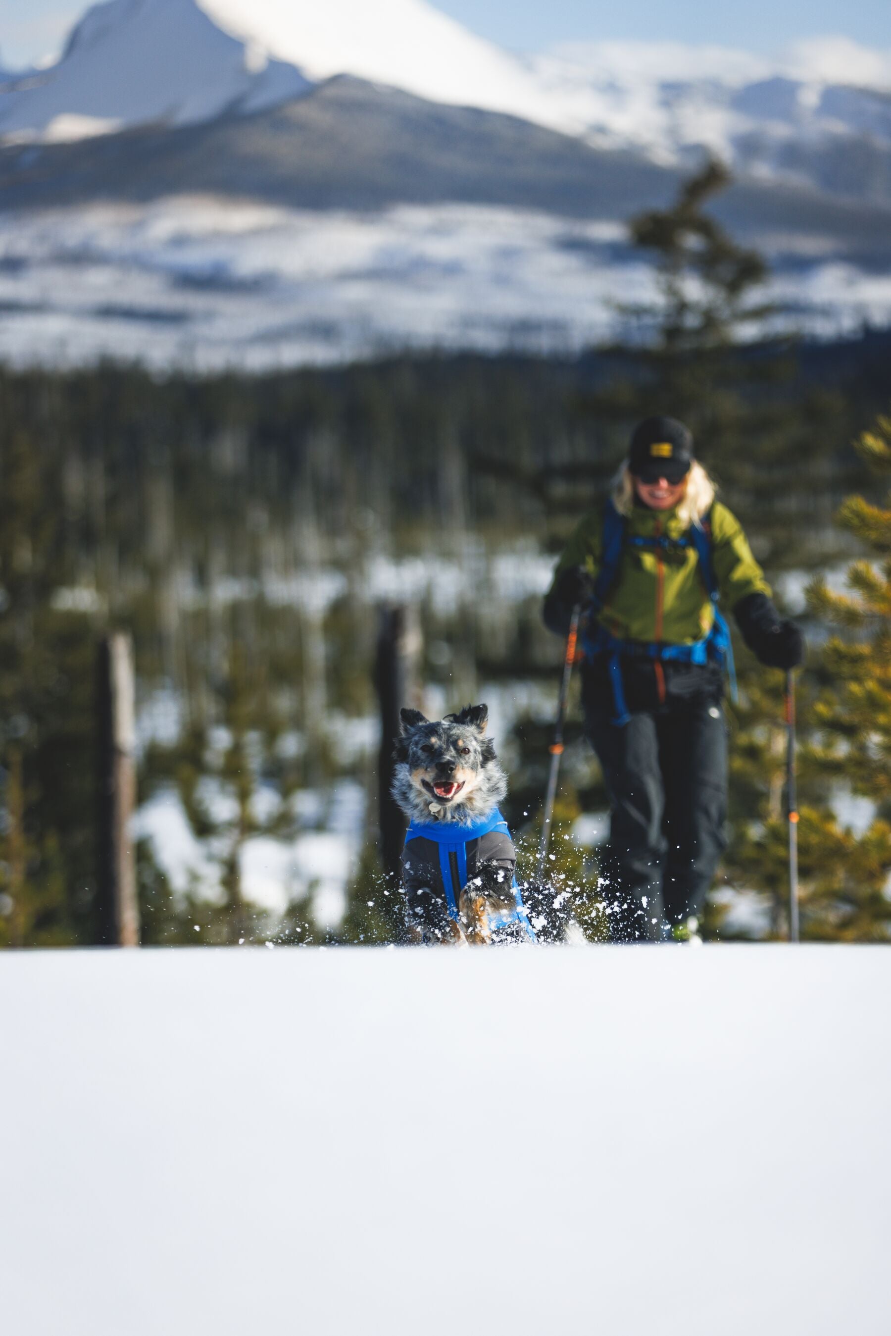 Vert™ Coverall Chamarra Impermeable de Cobertura Total para Perros - Aislada para Bajas Temperaturas | Ruffwear