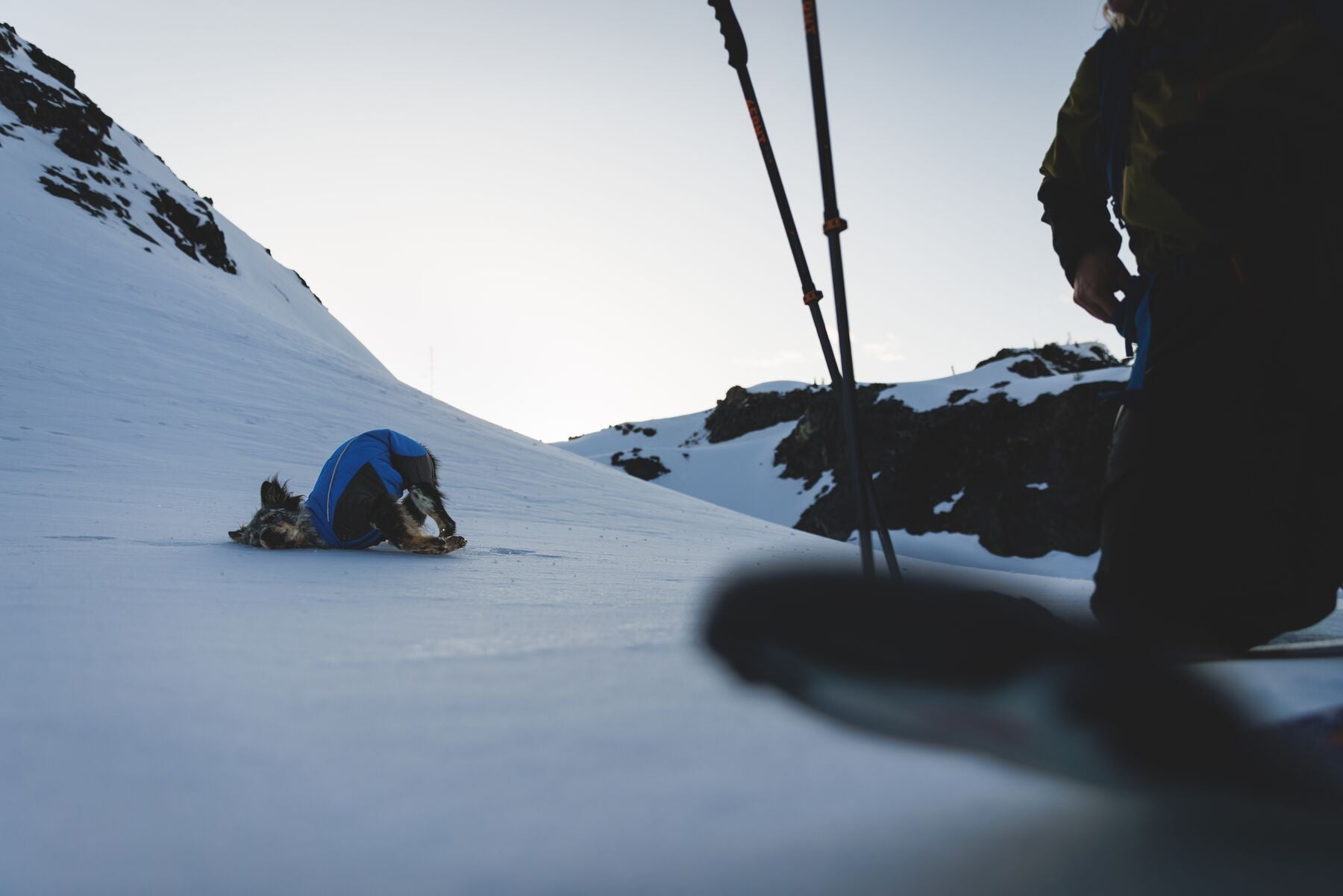 Vert™ Coverall Chamarra Impermeable de Cobertura Total para Perros - Aislada para Bajas Temperaturas | Ruffwear