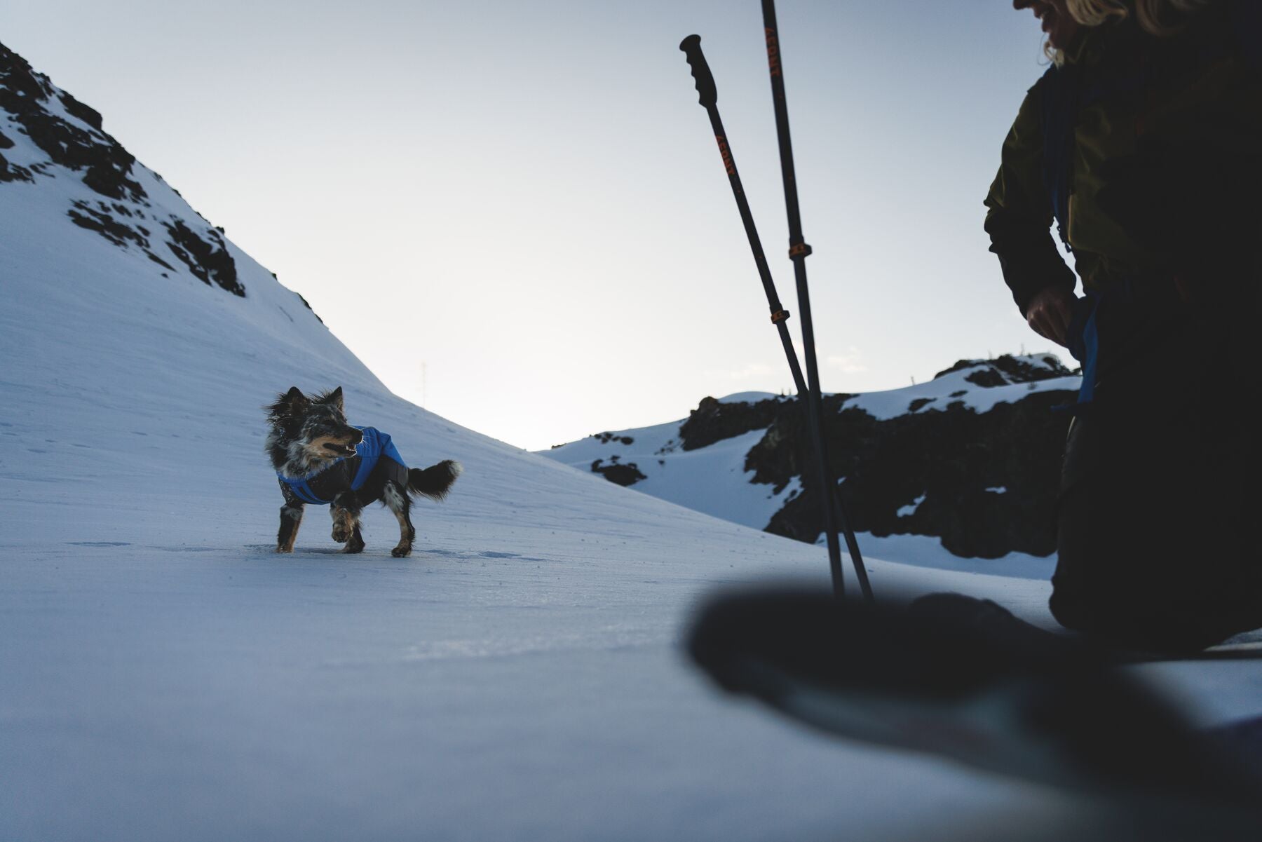 Vert™ Coverall Chamarra Impermeable de Cobertura Total para Perros - Aislada para Bajas Temperaturas | Ruffwear