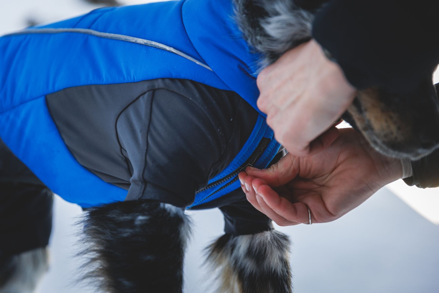 Vert™ Coverall Chamarra Impermeable de Cobertura Total para Perros - Aislada para Bajas Temperaturas | Ruffwear