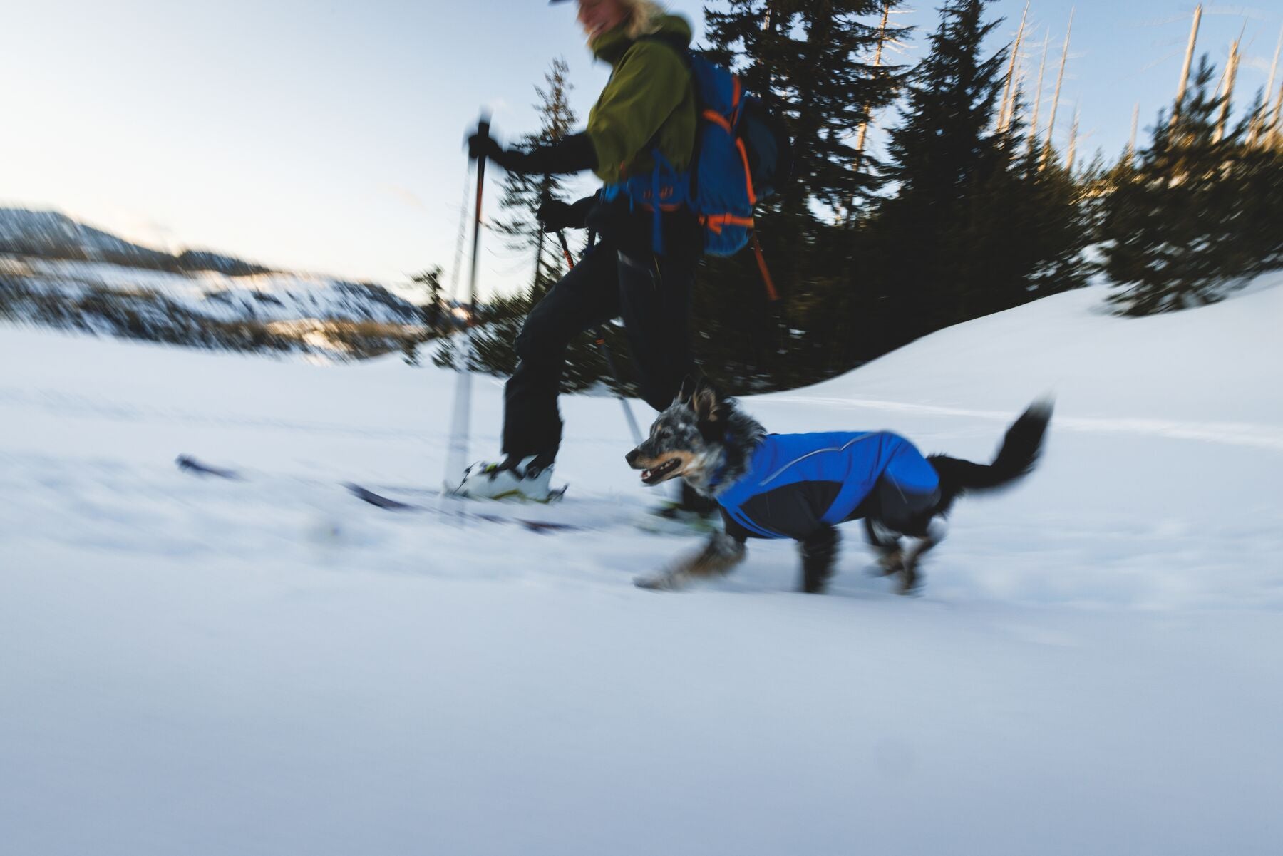 Vert™ Coverall Chamarra Impermeable de Cobertura Total para Perros - Aislada para Bajas Temperaturas | Ruffwear