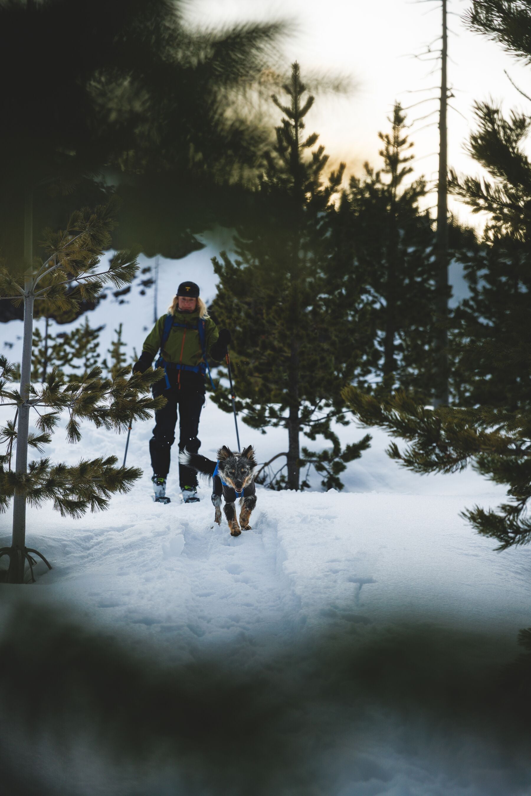 Vert™ Coverall Chamarra Impermeable de Cobertura Total para Perros - Aislada para Bajas Temperaturas | Ruffwear