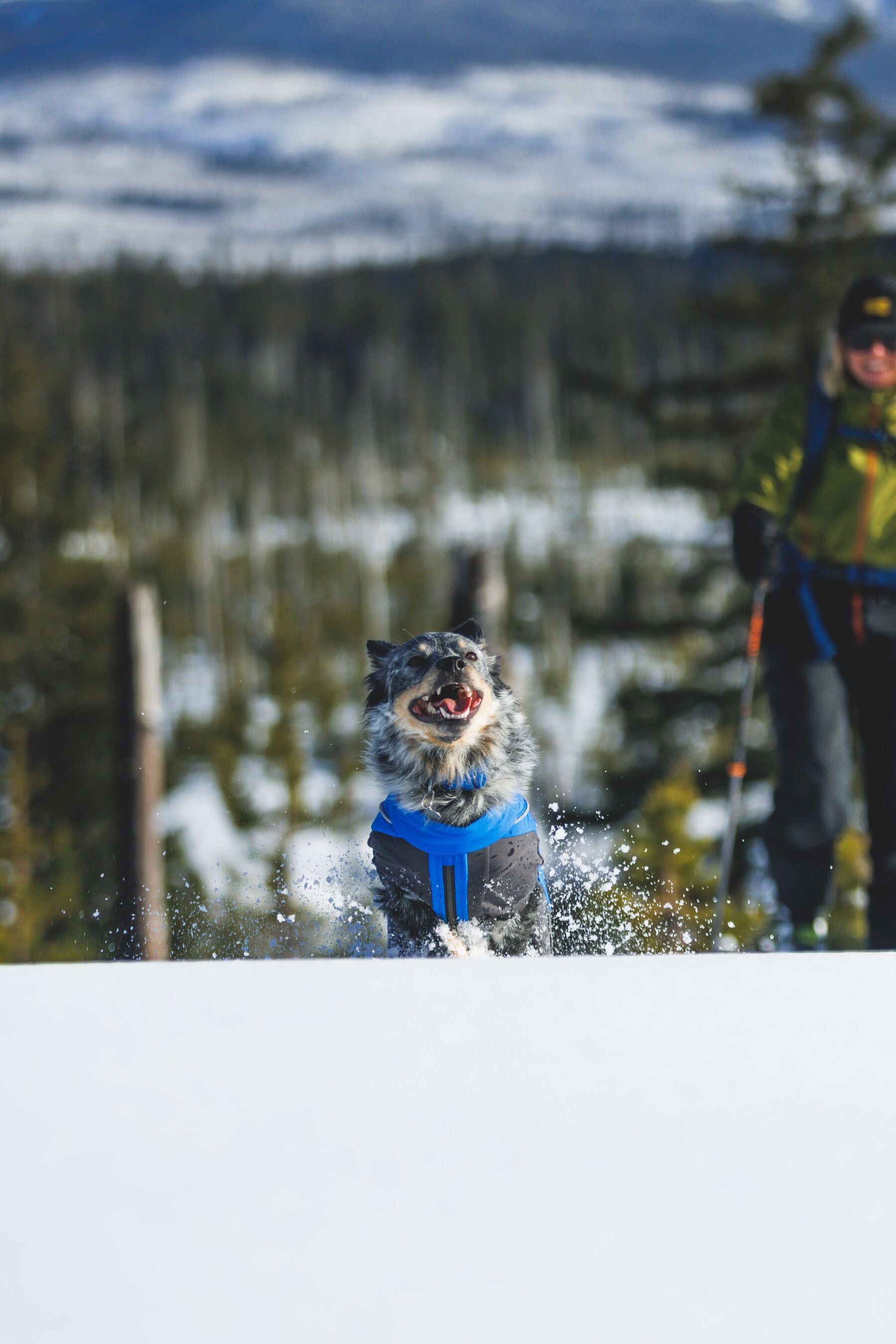 Vert™ Coverall Chamarra Impermeable de Cobertura Total para Perros - Aislada para Bajas Temperaturas | Ruffwear