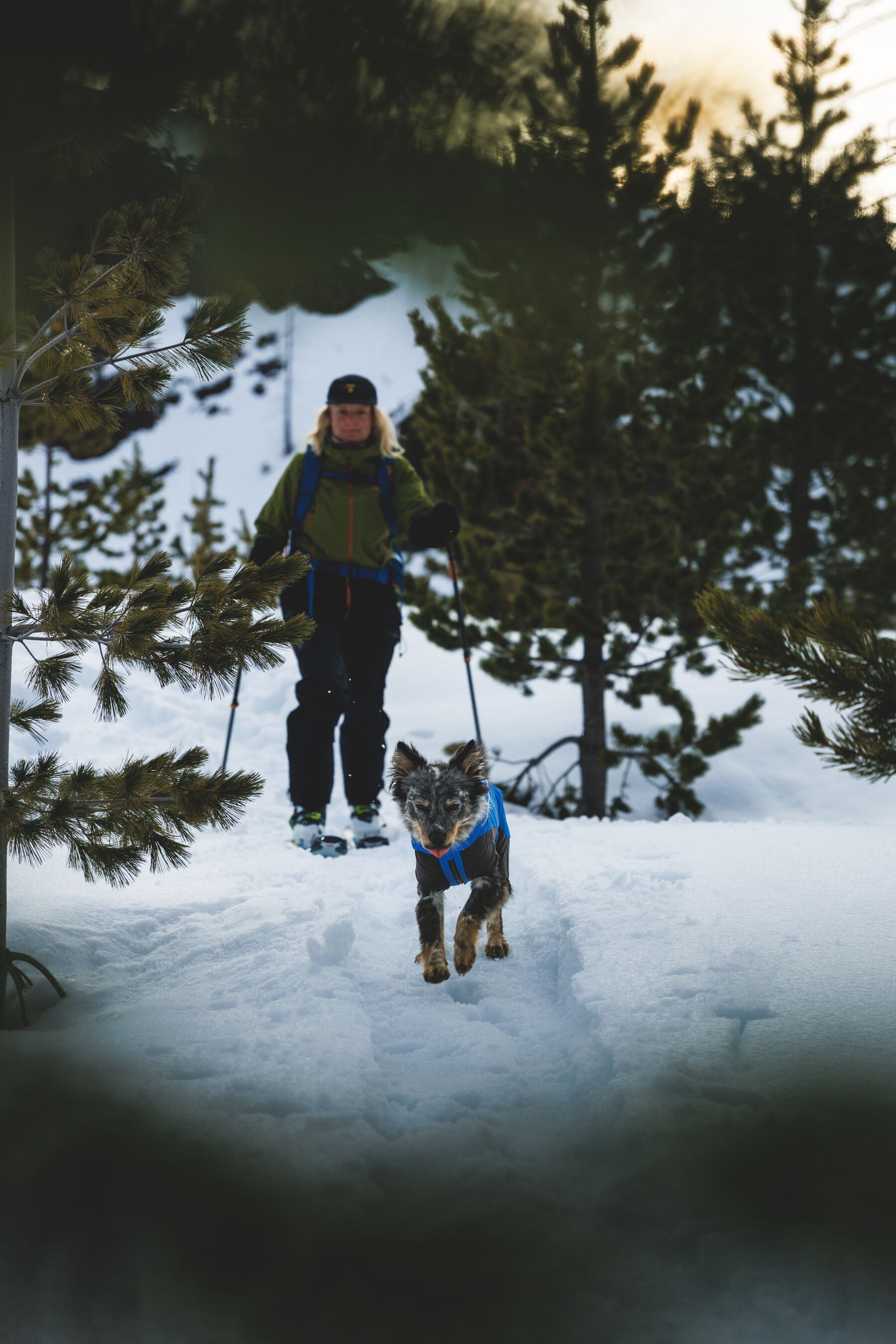 Vert™ Coverall Chamarra Impermeable de Cobertura Total para Perros - Aislada para Bajas Temperaturas | Ruffwear