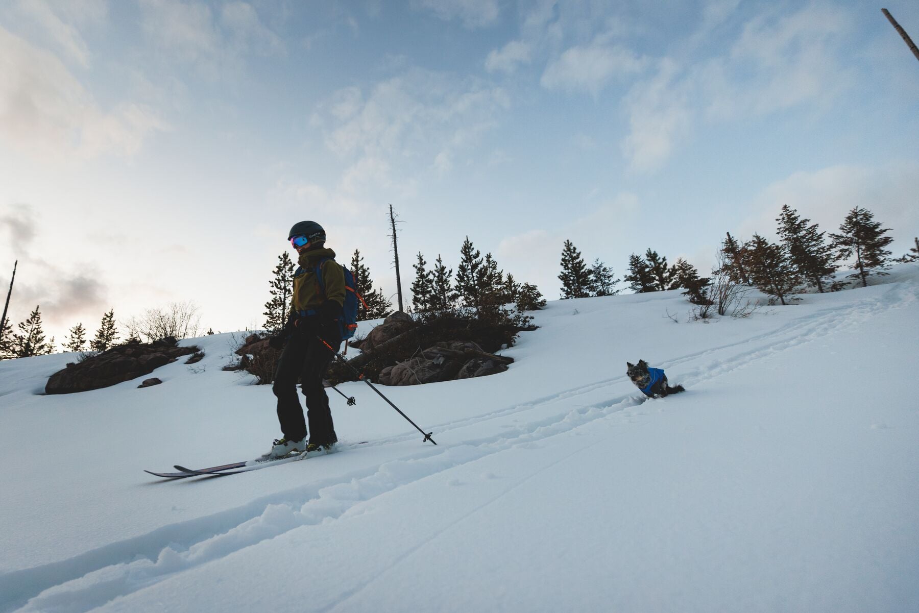 Vert™ Coverall Chamarra Impermeable de Cobertura Total para Perros - Aislada para Bajas Temperaturas | Ruffwear