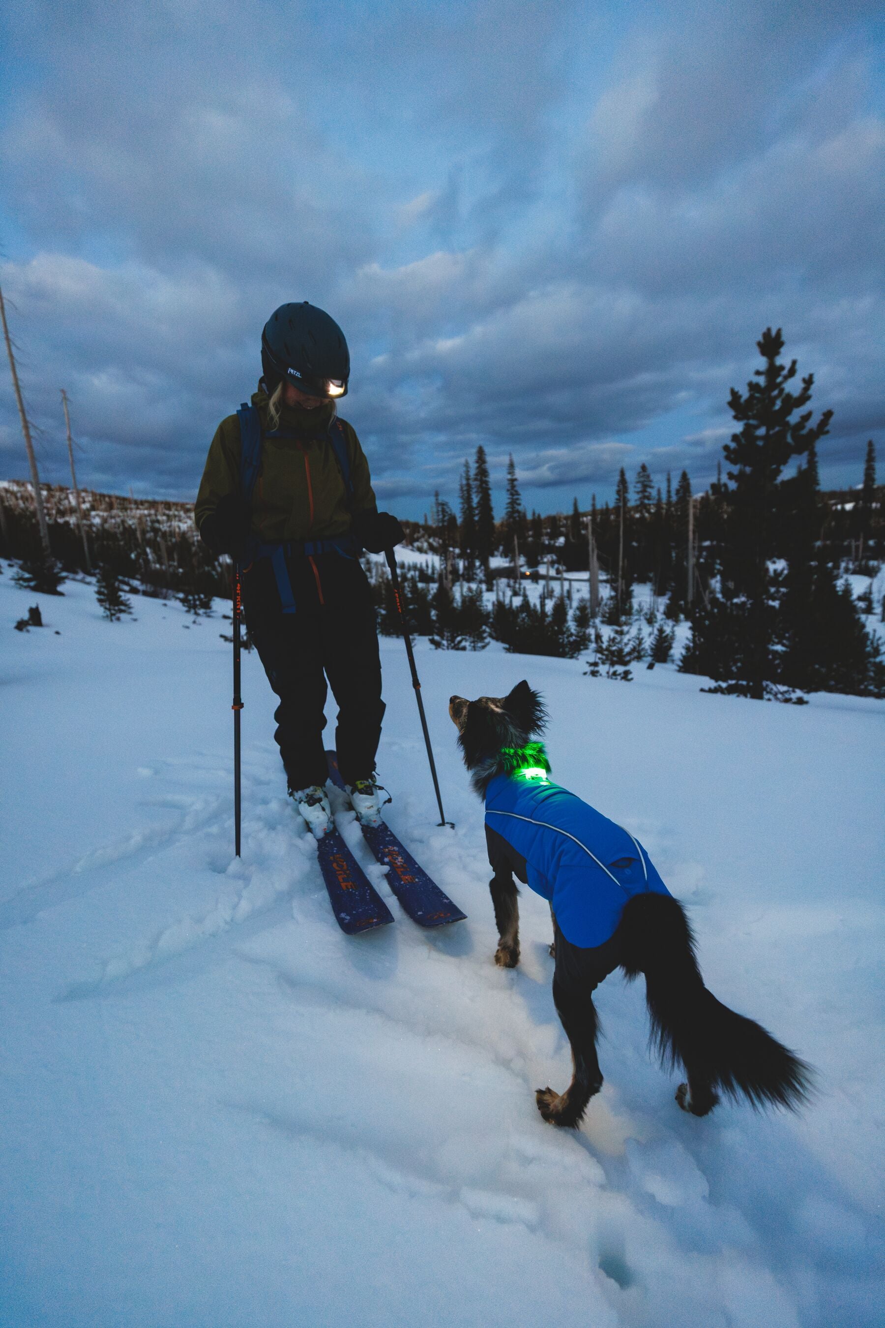 Vert™ Coverall Chamarra Impermeable de Cobertura Total para Perros - Aislada para Bajas Temperaturas | Ruffwear
