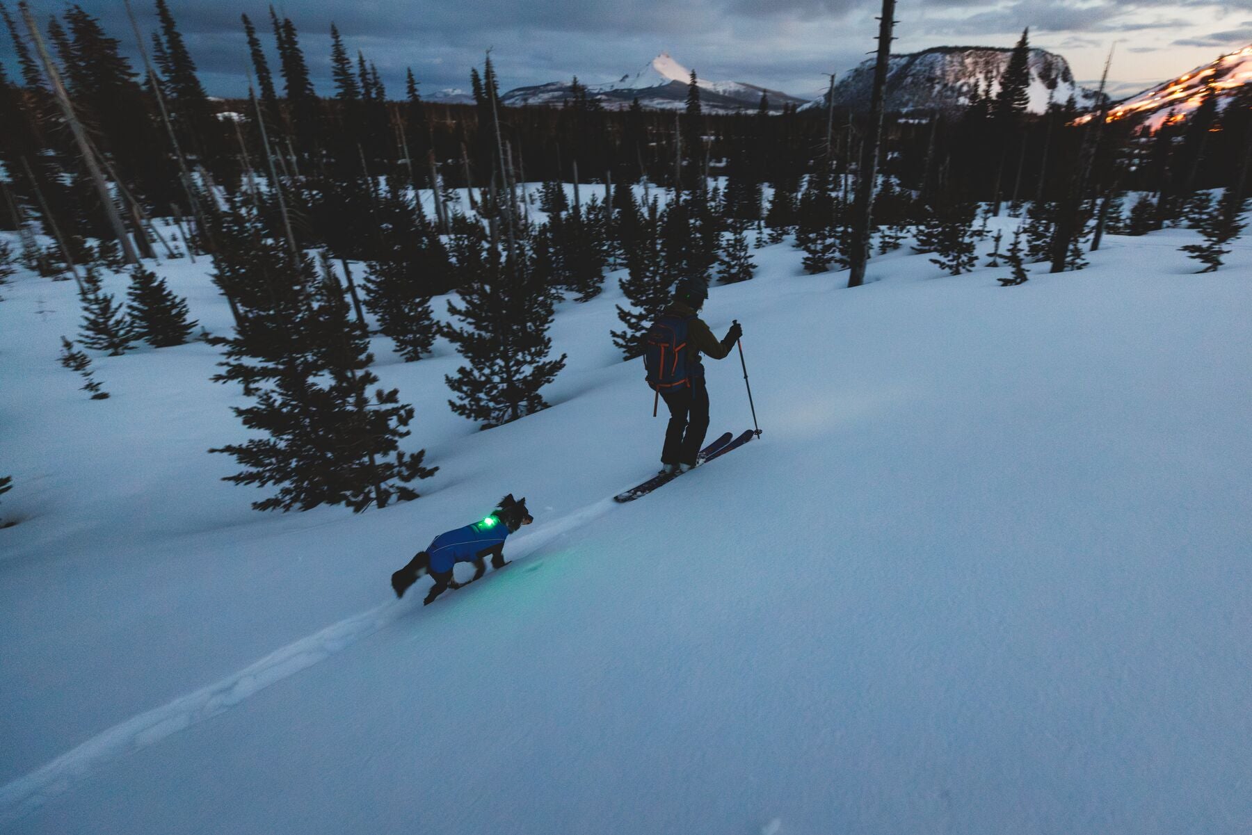 Vert™ Coverall Chamarra Impermeable de Cobertura Total para Perros - Aislada para Bajas Temperaturas | Ruffwear