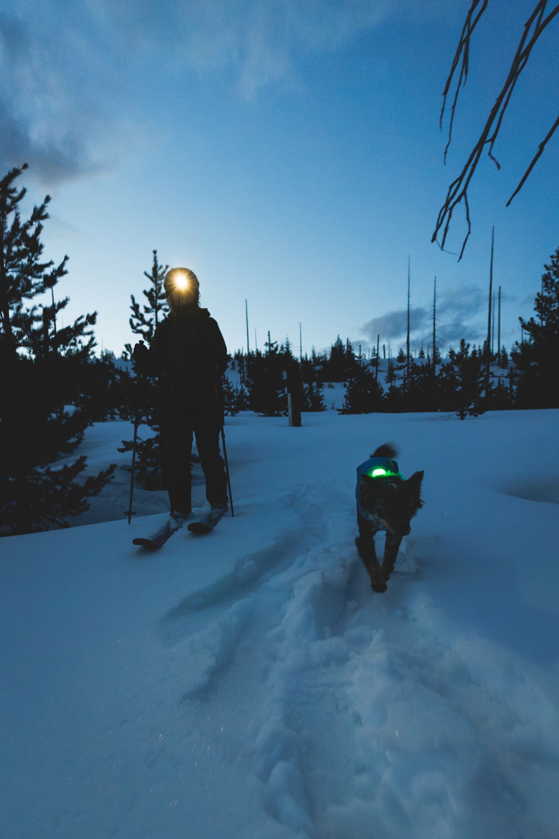 Vert™ Coverall Chamarra Impermeable de Cobertura Total para Perros - Aislada para Bajas Temperaturas | Ruffwear