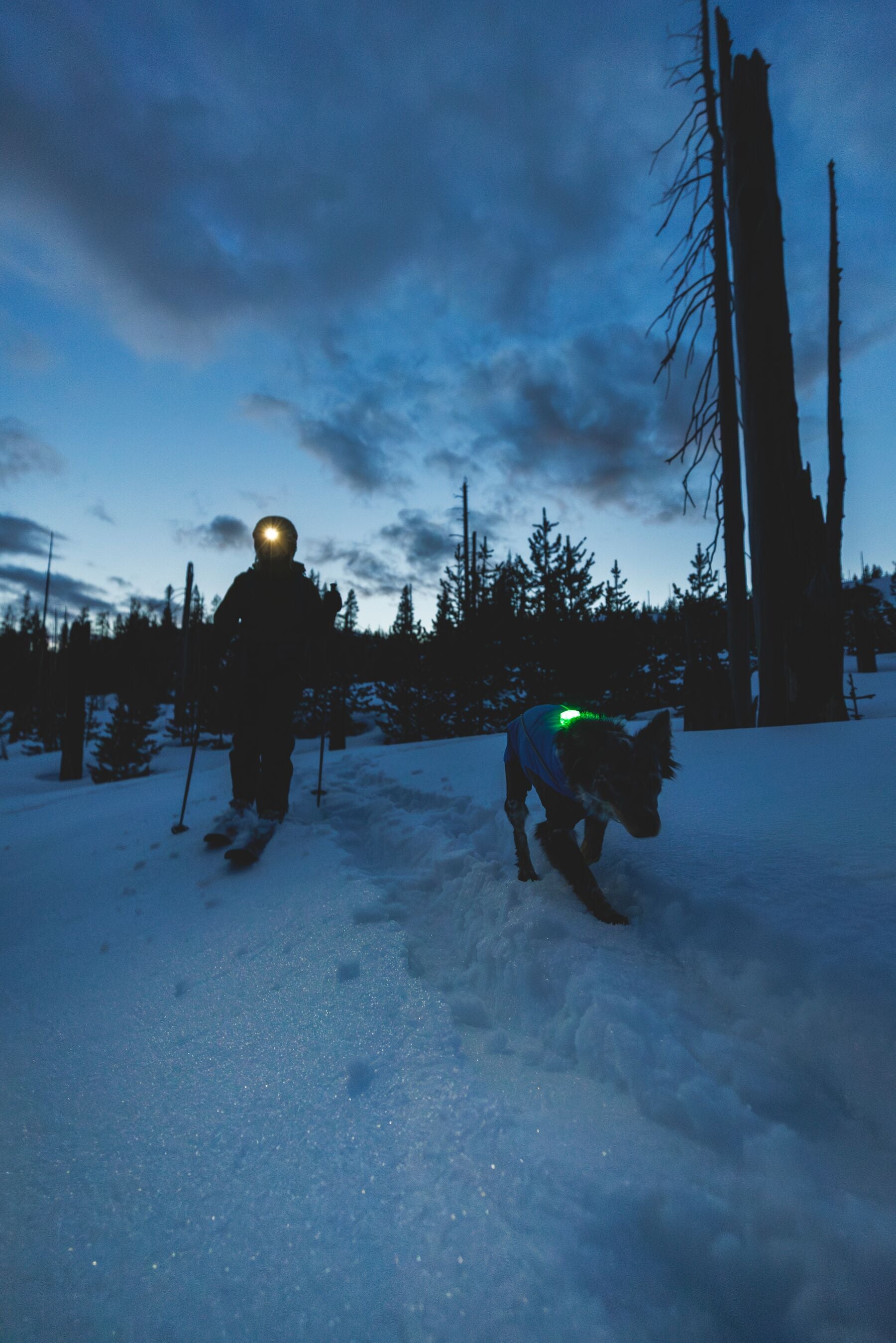 Vert™ Coverall Chamarra Impermeable de Cobertura Total para Perros - Aislada para Bajas Temperaturas | Ruffwear