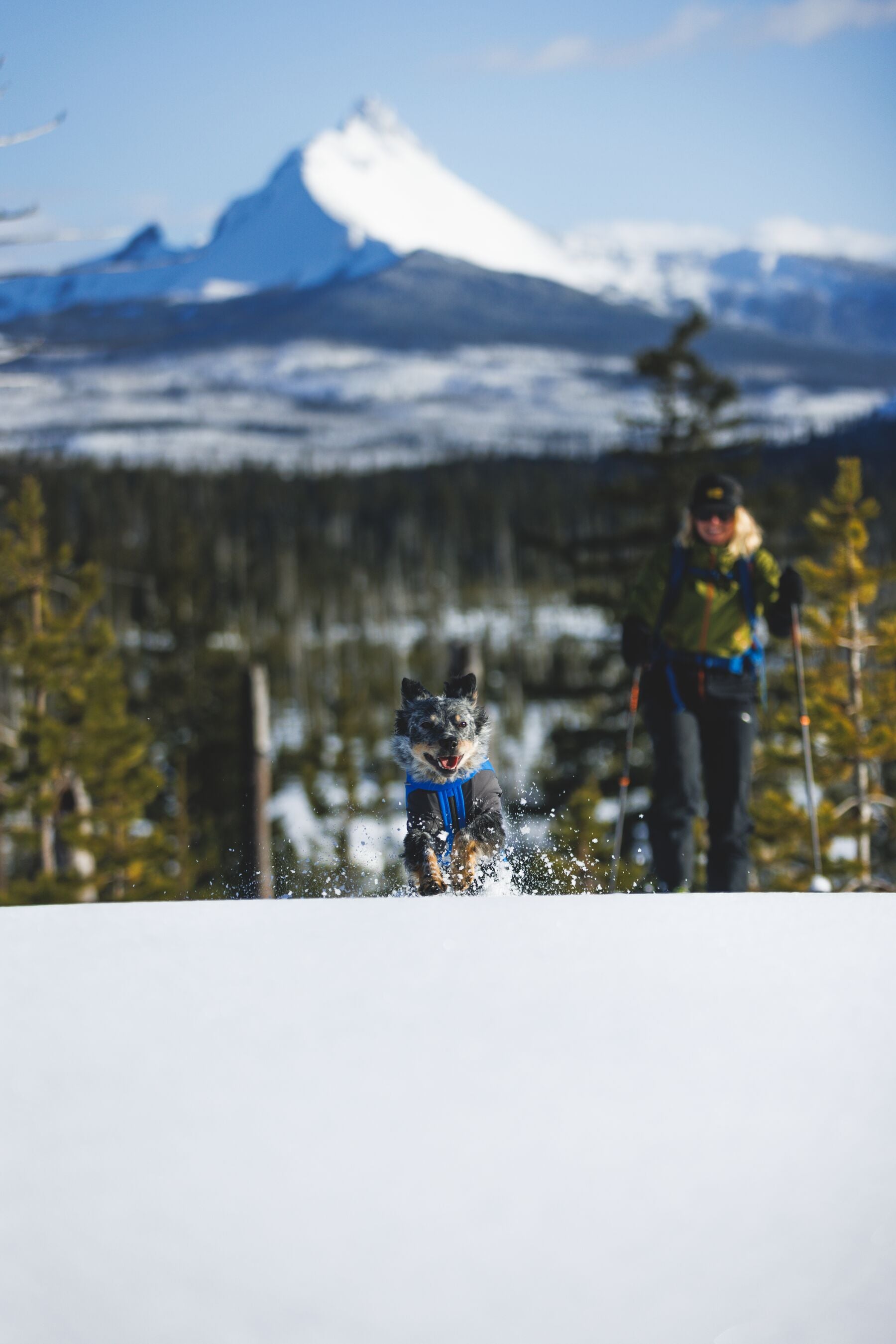 Vert™ Coverall Chamarra Impermeable de Cobertura Total para Perros - Aislada para Bajas Temperaturas | Ruffwear