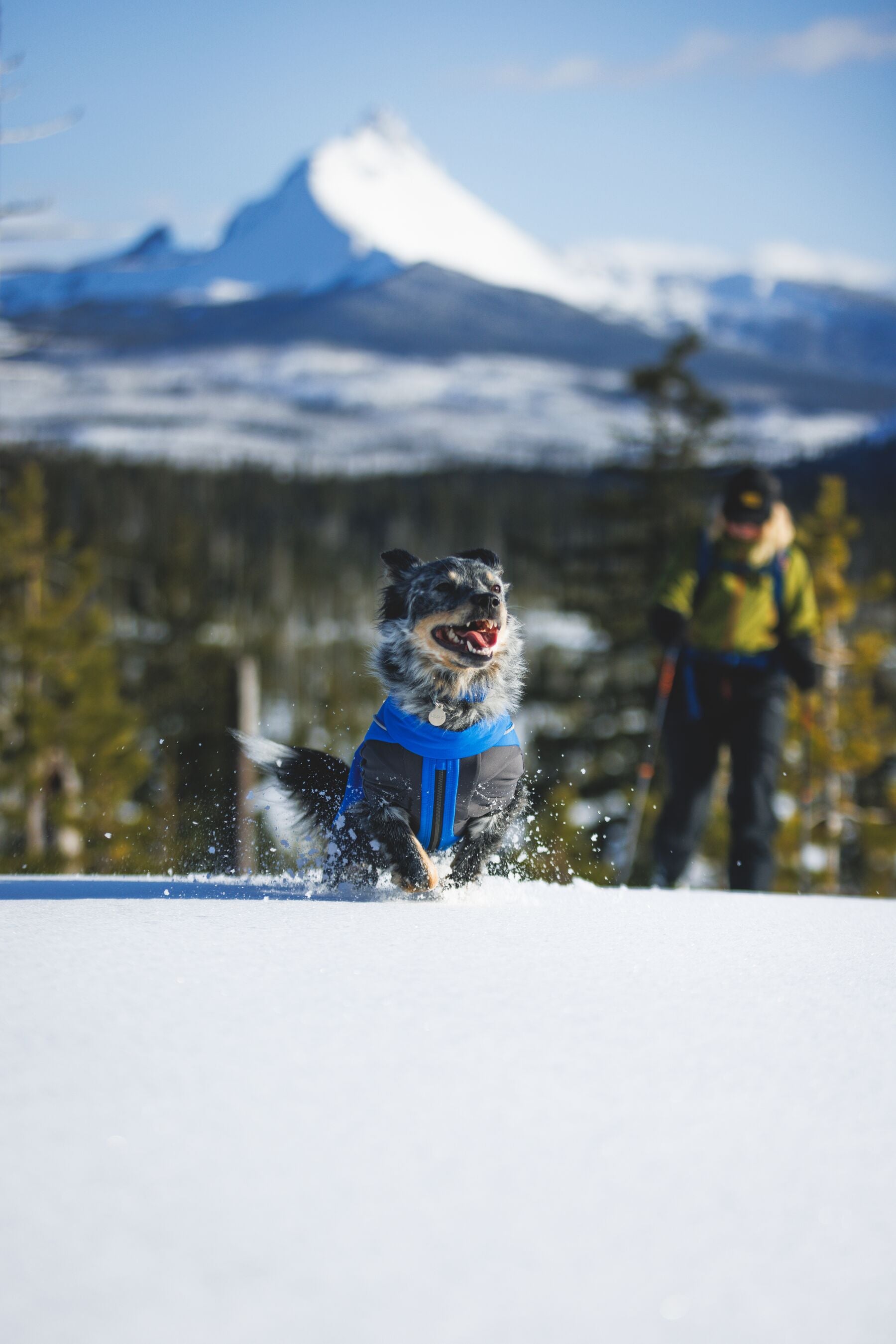 Vert™ Coverall Chamarra Impermeable de Cobertura Total para Perros - Aislada para Bajas Temperaturas | Ruffwear