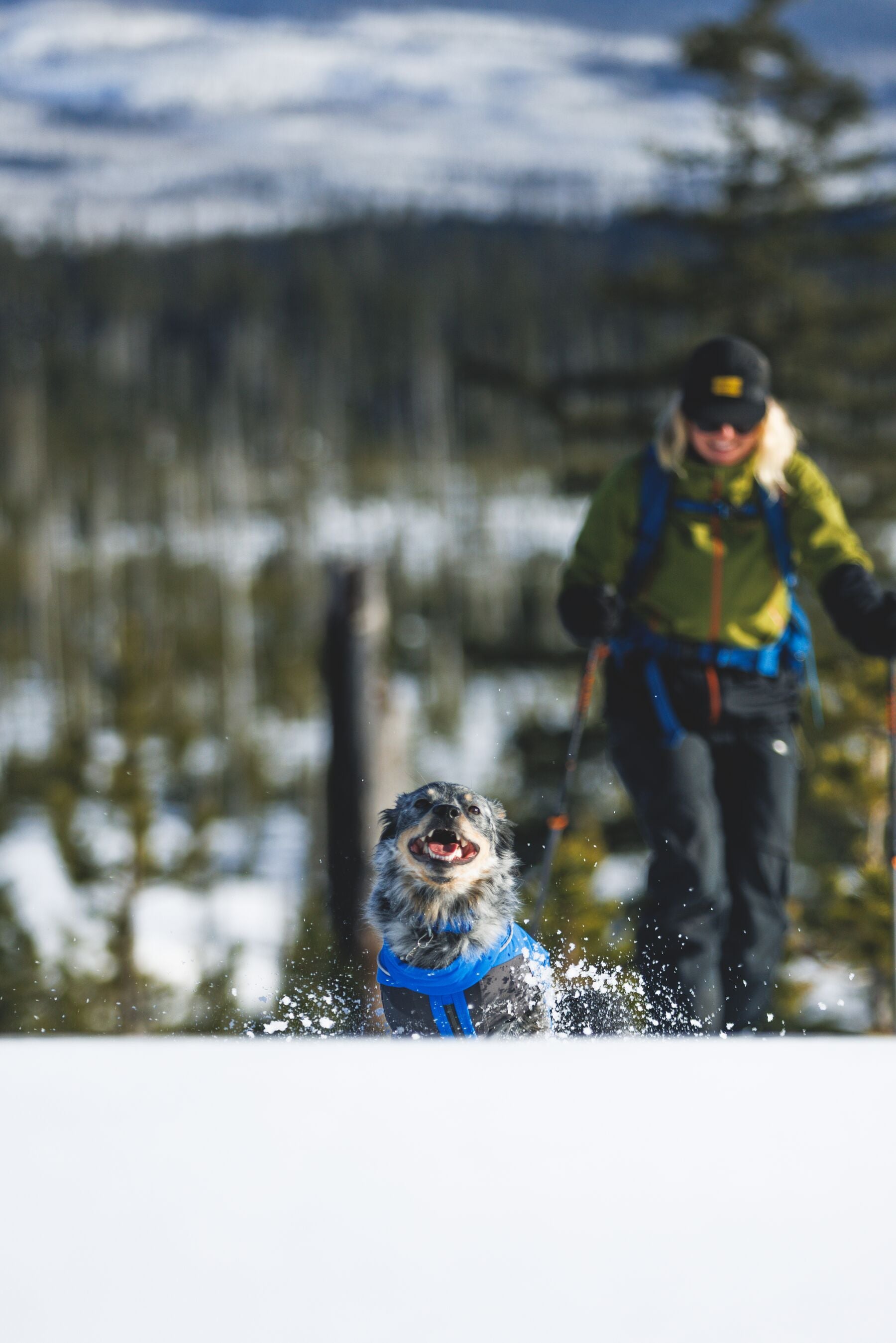 Vert™ Coverall Chamarra Impermeable de Cobertura Total para Perros - Aislada para Bajas Temperaturas | Ruffwear