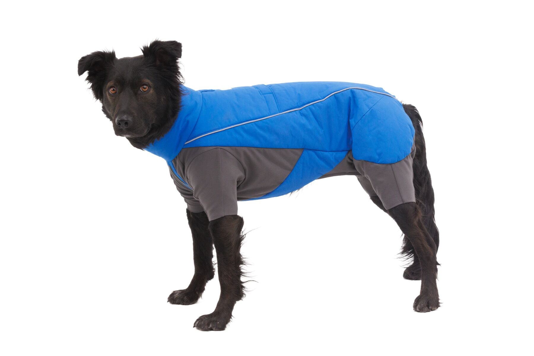 Vert™ Coverall Chamarra Impermeable de Cobertura Total para Perros - Aislada para Bajas Temperaturas | Ruffwear
