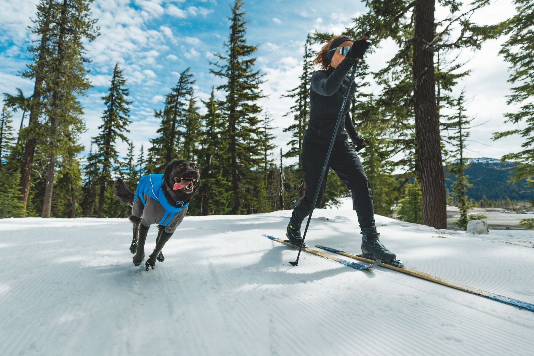 Vert™ Coverall Chamarra Impermeable de Cobertura Total para Perros - Aislada para Bajas Temperaturas | Ruffwear