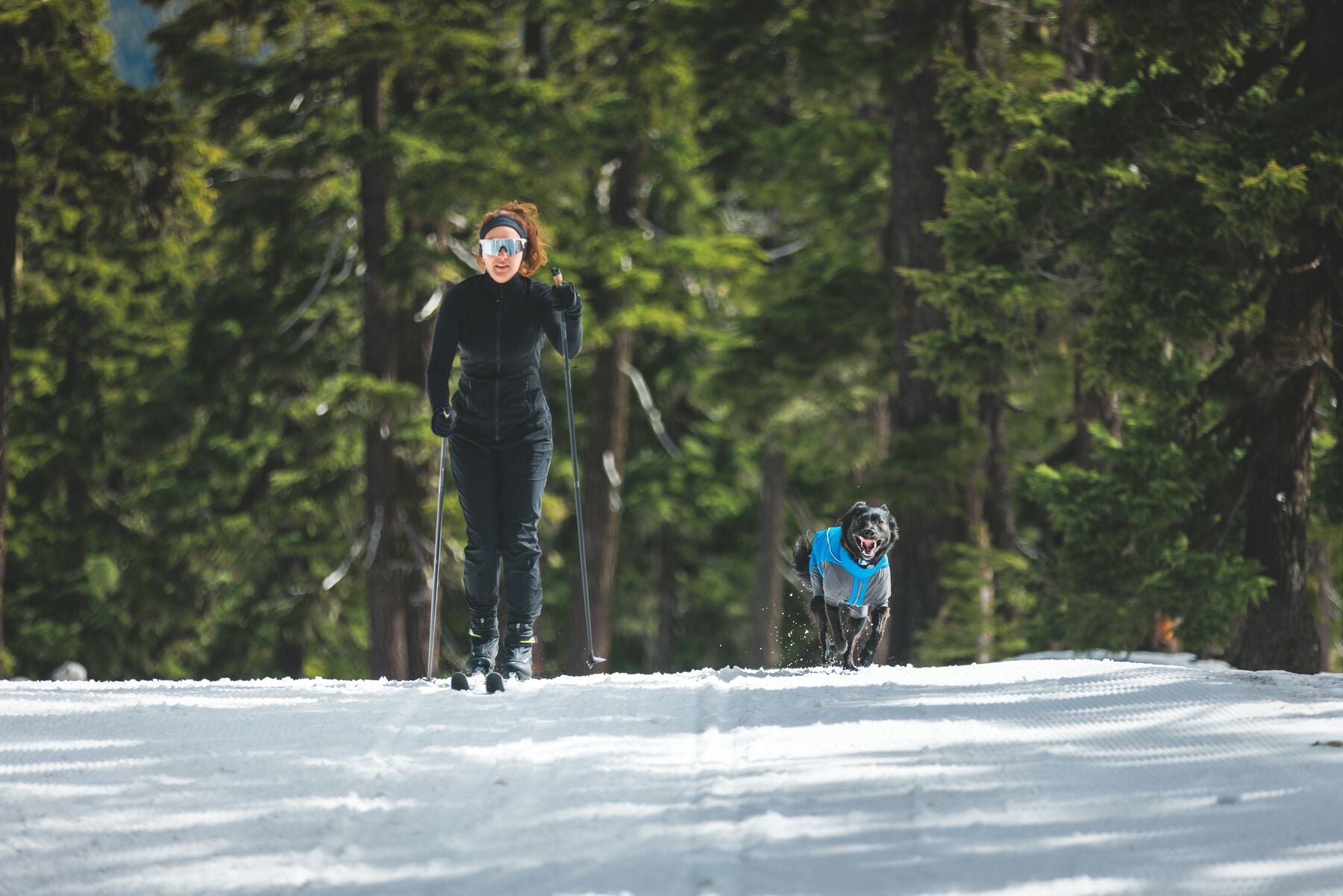 Vert™ Coverall Chamarra Impermeable de Cobertura Total para Perros - Aislada para Bajas Temperaturas | Ruffwear