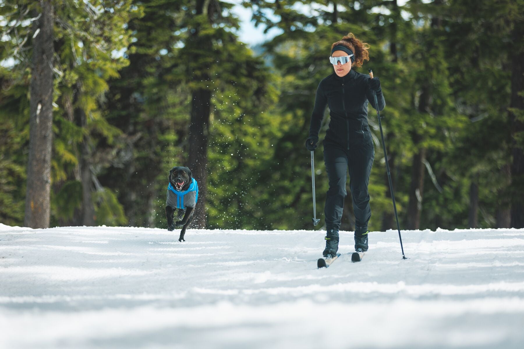 Vert™ Coverall Chamarra Impermeable de Cobertura Total para Perros - Aislada para Bajas Temperaturas | Ruffwear