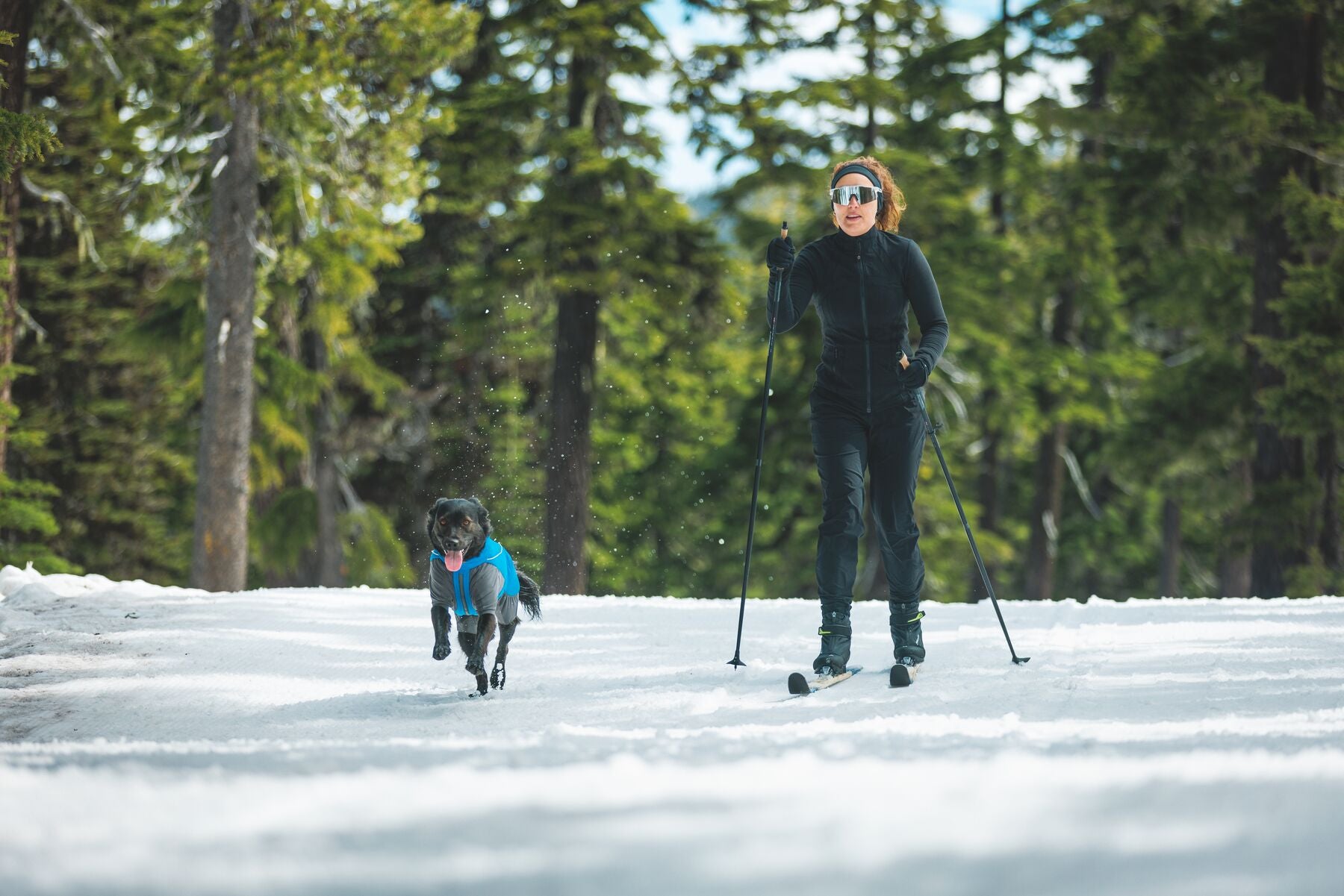 Vert™ Coverall Chamarra Impermeable de Cobertura Total para Perros - Aislada para Bajas Temperaturas | Ruffwear