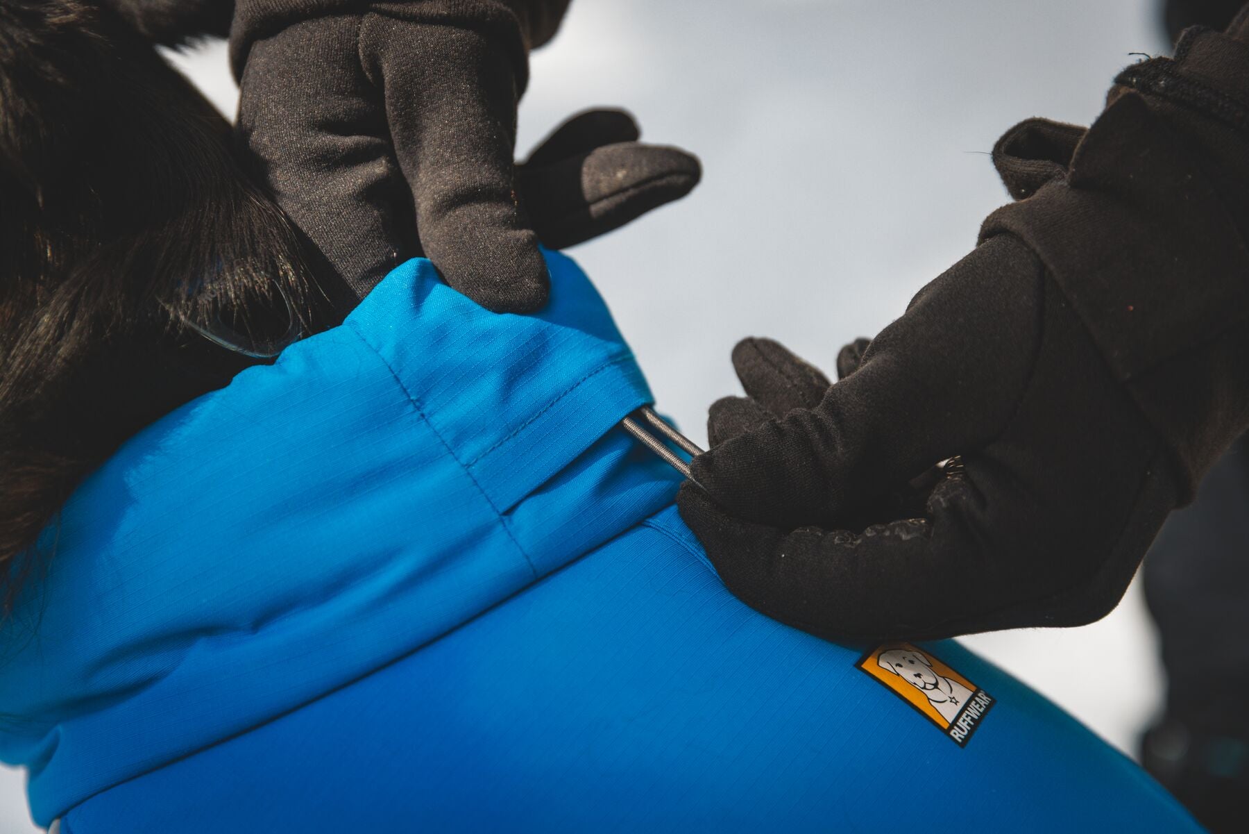 Vert™ Coverall Chamarra Impermeable de Cobertura Total para Perros - Aislada para Bajas Temperaturas | Ruffwear