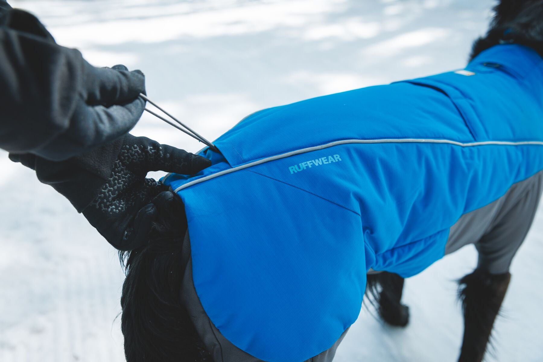 Vert™ Coverall Chamarra Impermeable de Cobertura Total para Perros - Aislada para Bajas Temperaturas | Ruffwear