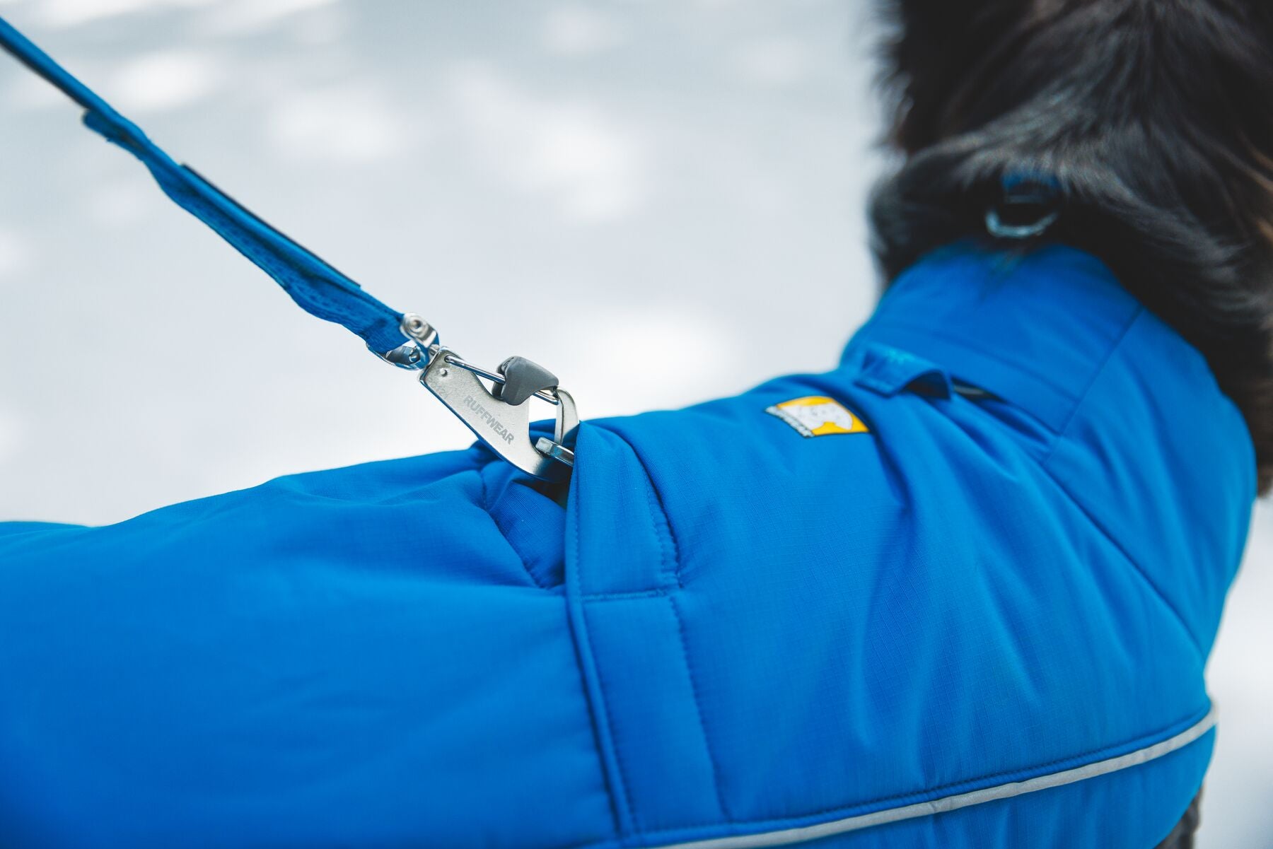 Vert™ Coverall Chamarra Impermeable de Cobertura Total para Perros - Aislada para Bajas Temperaturas | Ruffwear